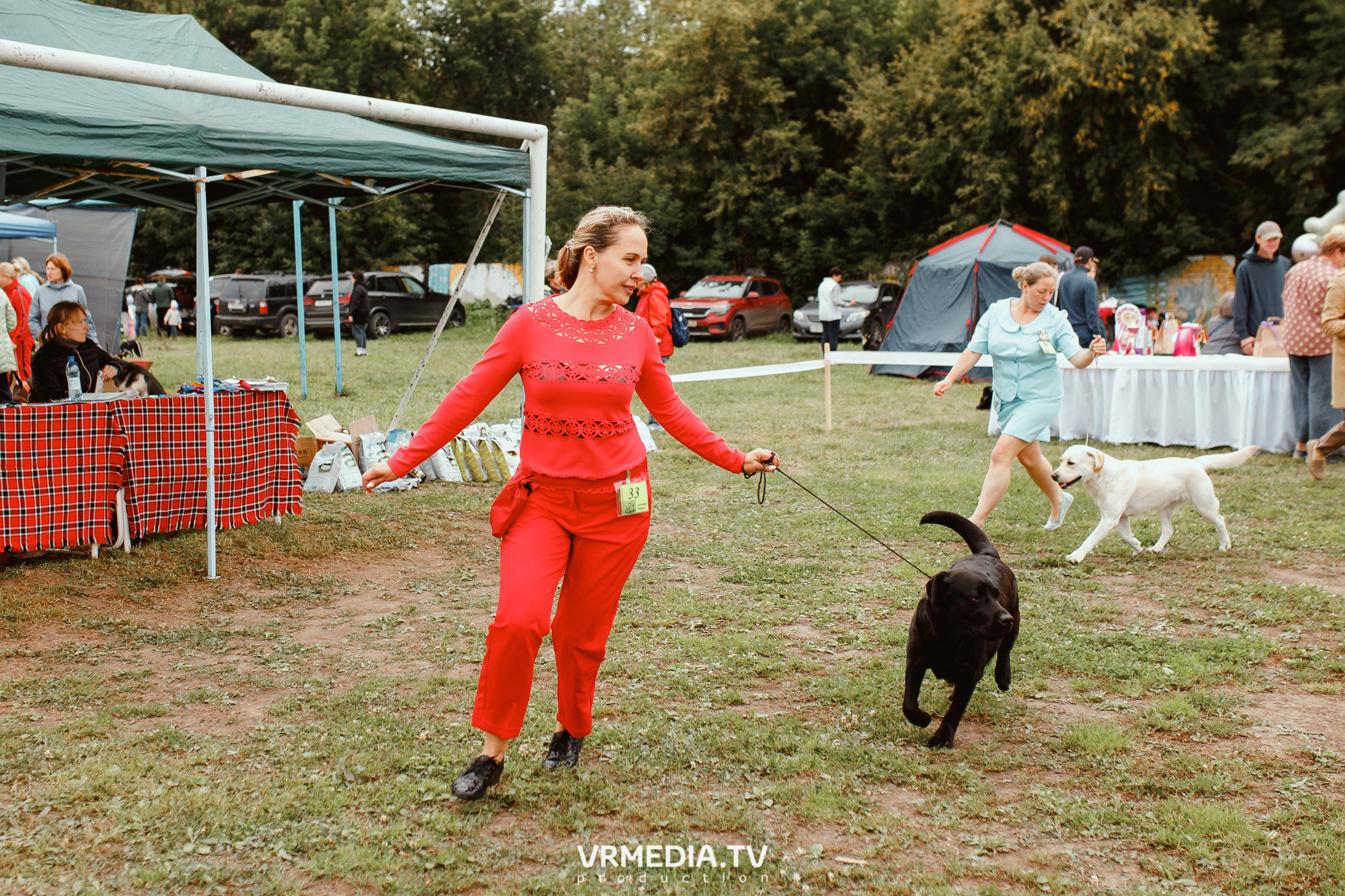 Монопородная выставка лабрадоров «КУЗБАСС 2021»