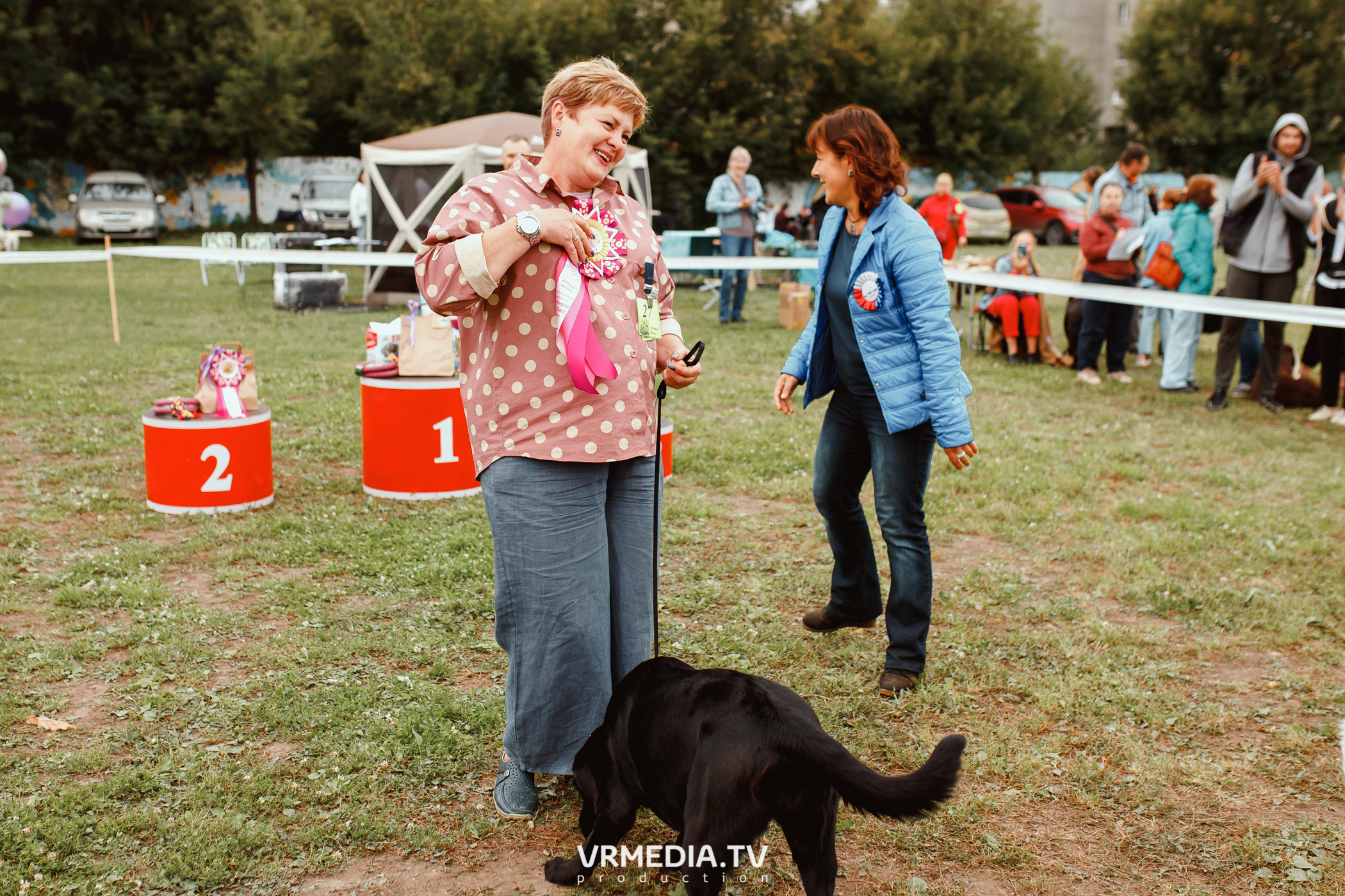 Монопородная выставка лабрадоров «КУЗБАСС 2021»