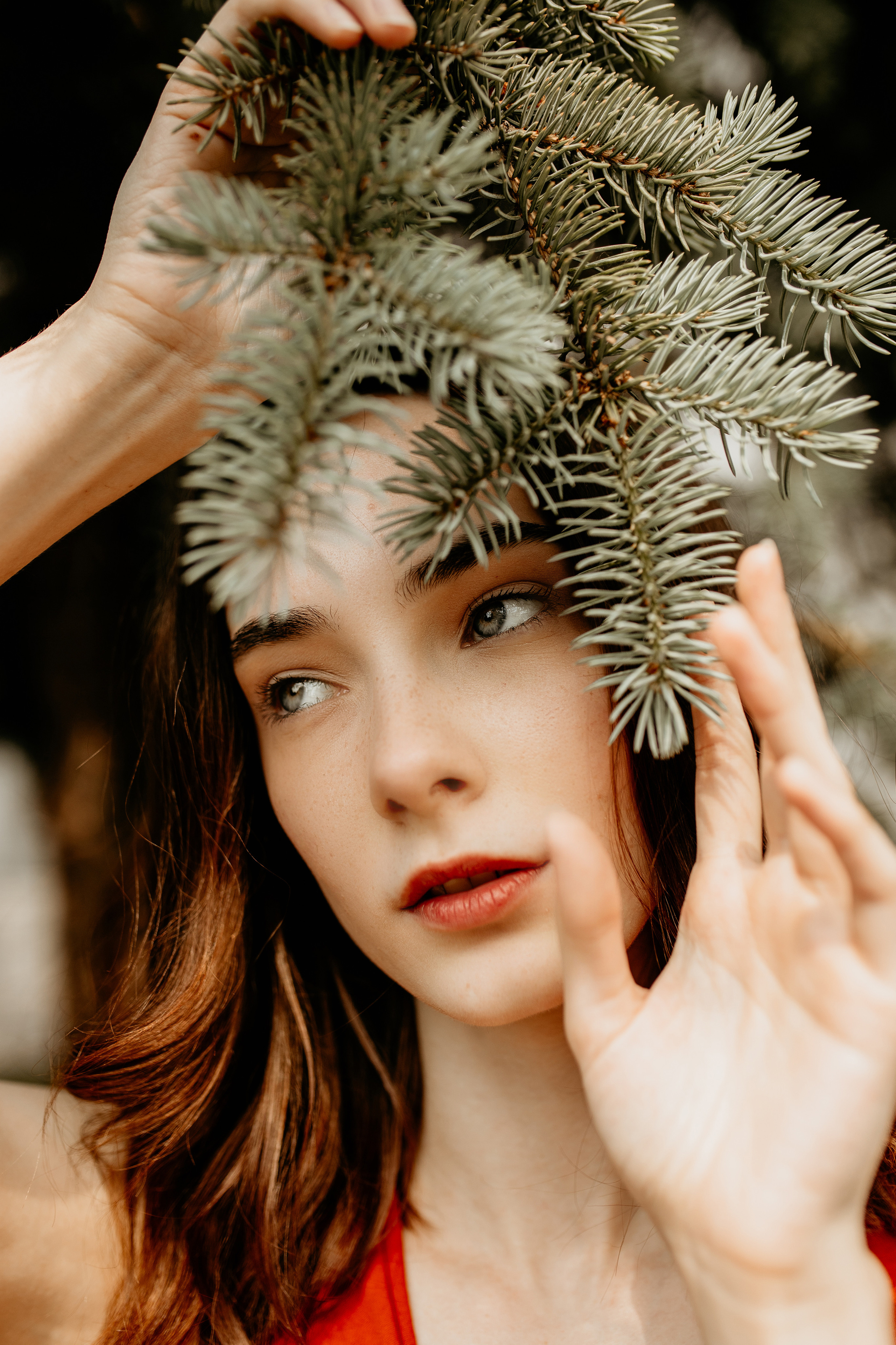 Филармония (Советский проспект, 68)