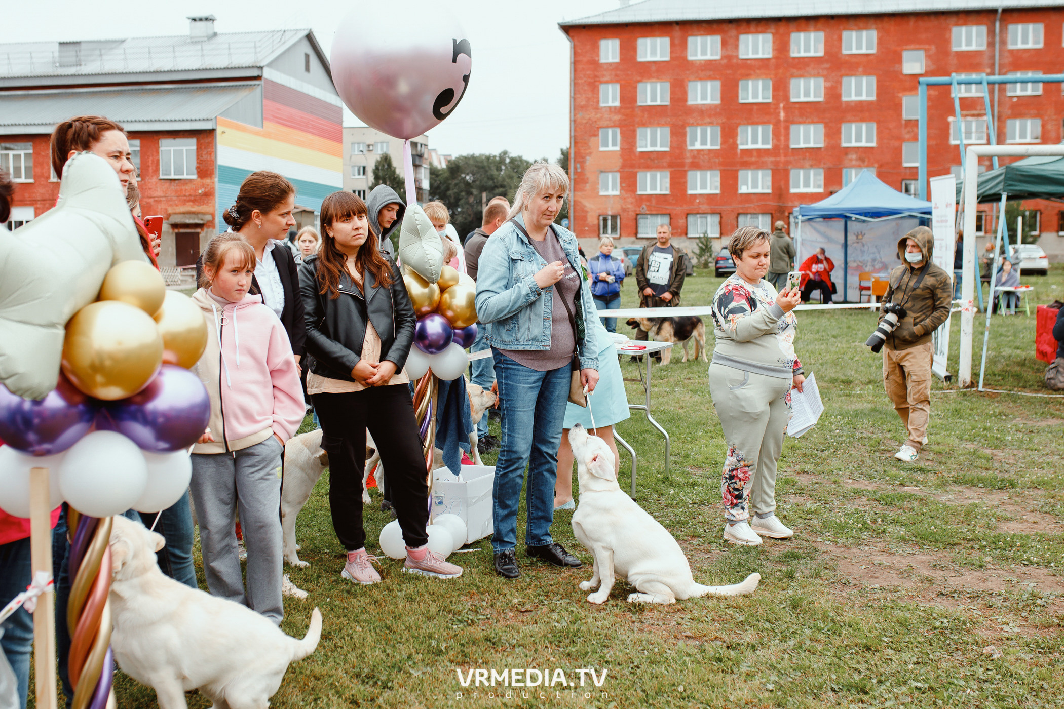 Монопородная выставка лабрадоров «КУЗБАСС 2021»