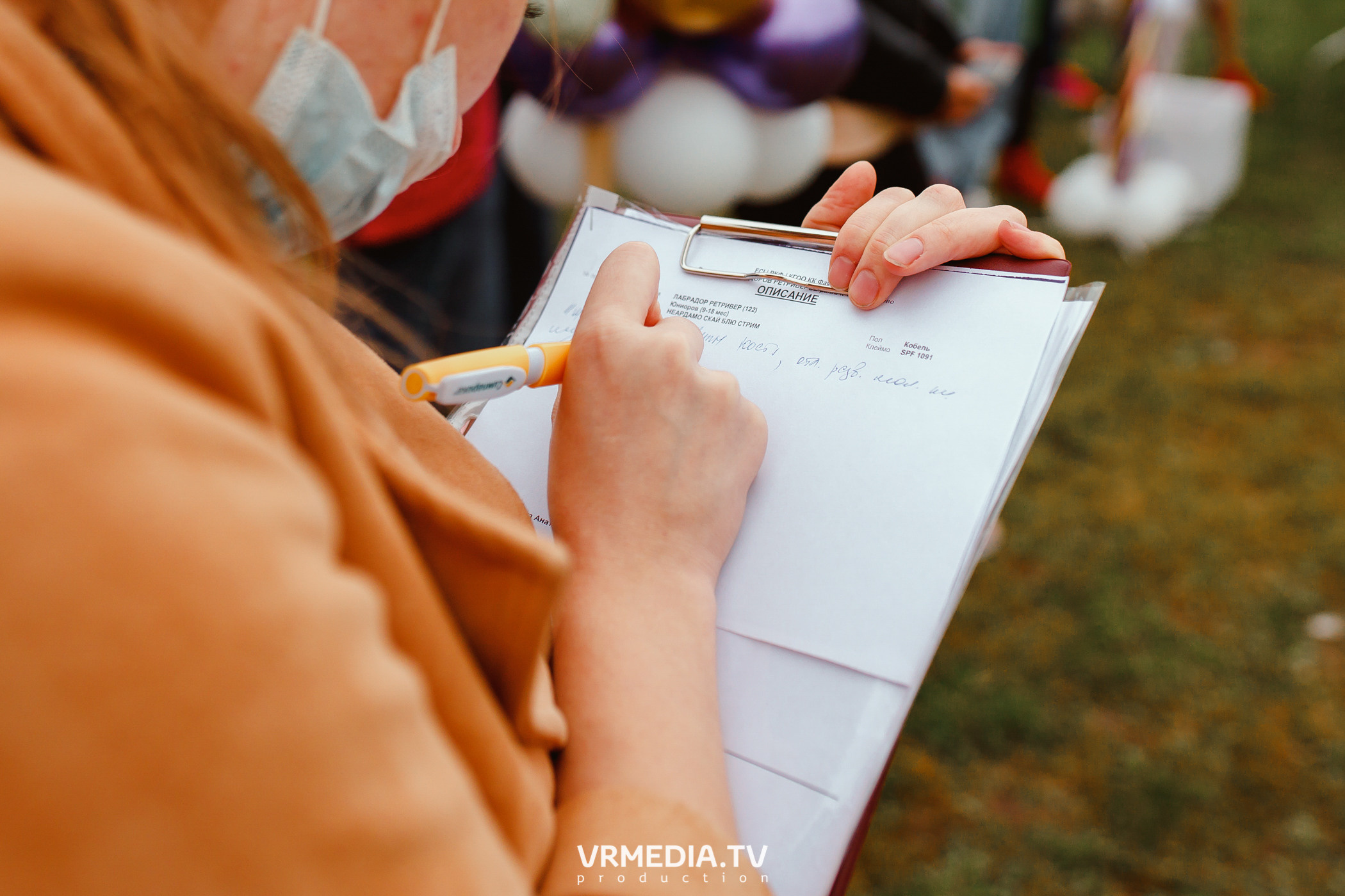 Монопородная выставка лабрадоров «КУЗБАСС 2021»