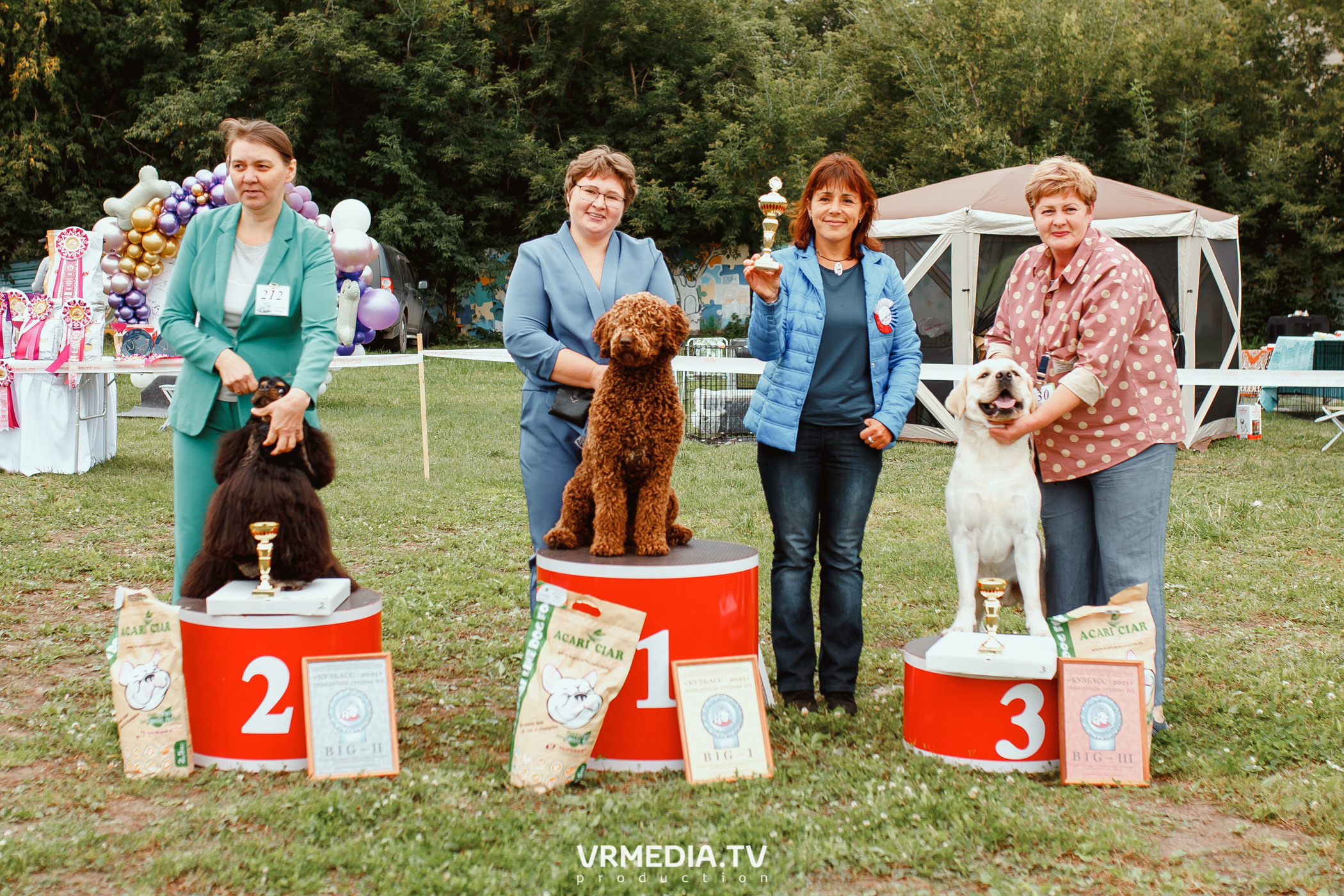 Монопородная выставка лабрадоров «КУЗБАСС 2021»