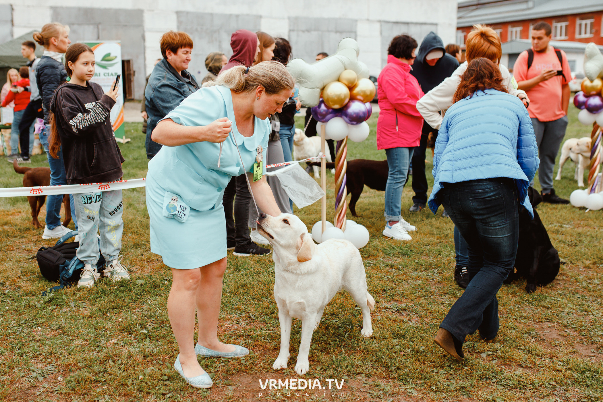 Монопородная выставка лабрадоров «КУЗБАСС 2021»