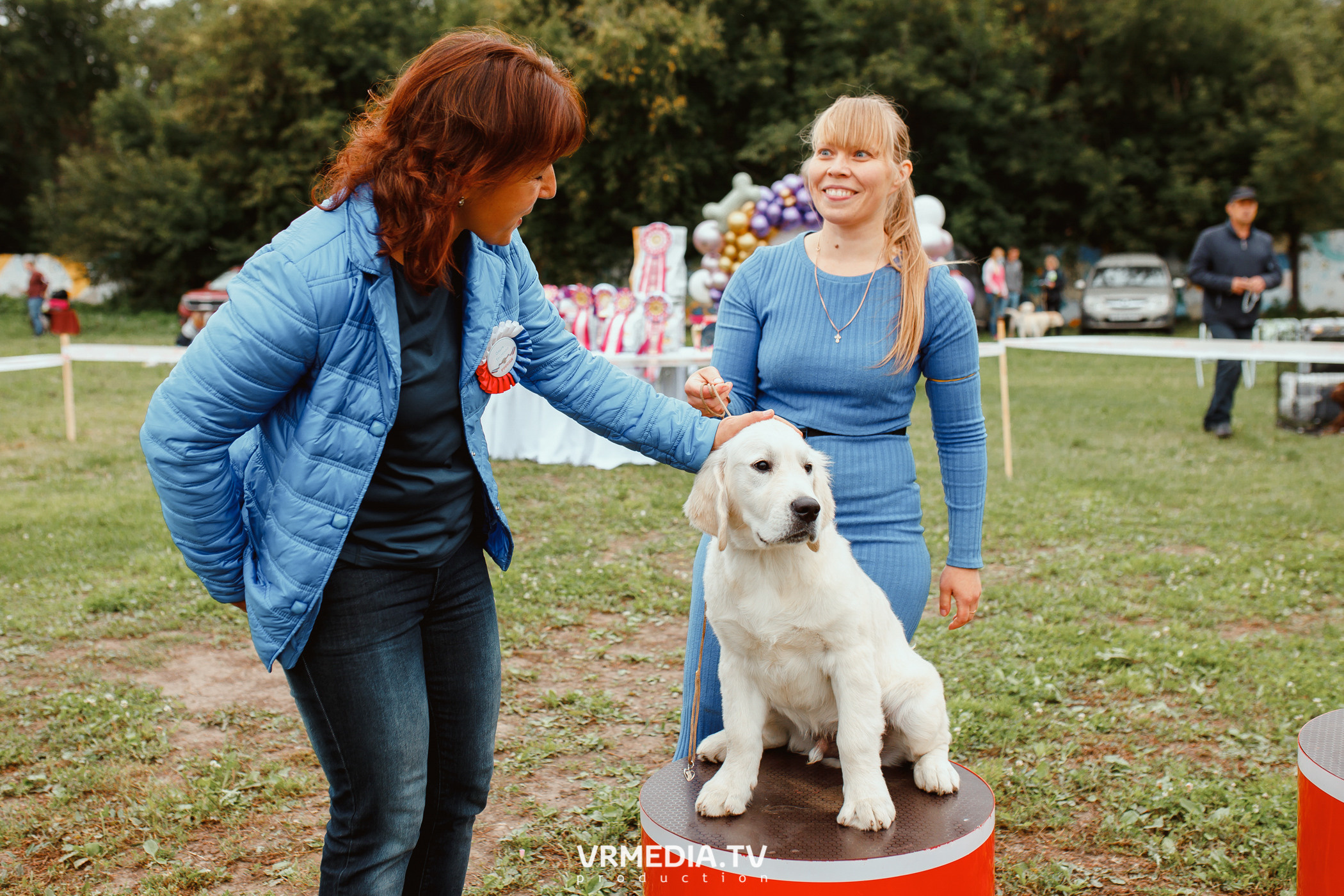 Монопородная выставка лабрадоров «КУЗБАСС 2021»