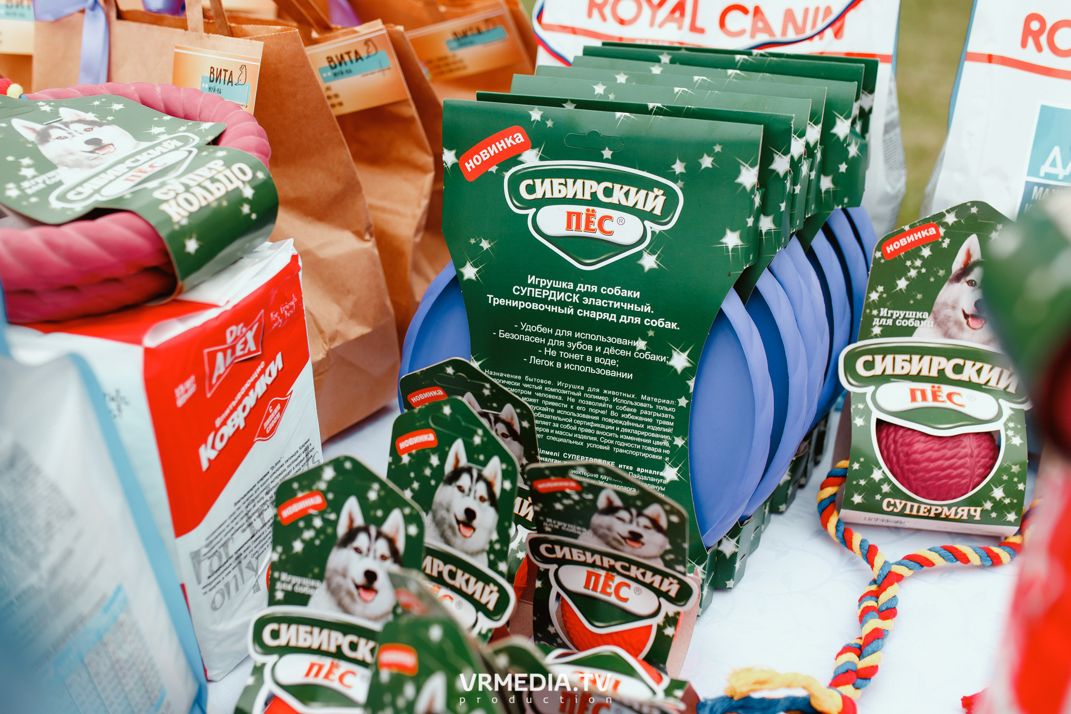 Монопородная выставка лабрадоров «КУЗБАСС 2021»