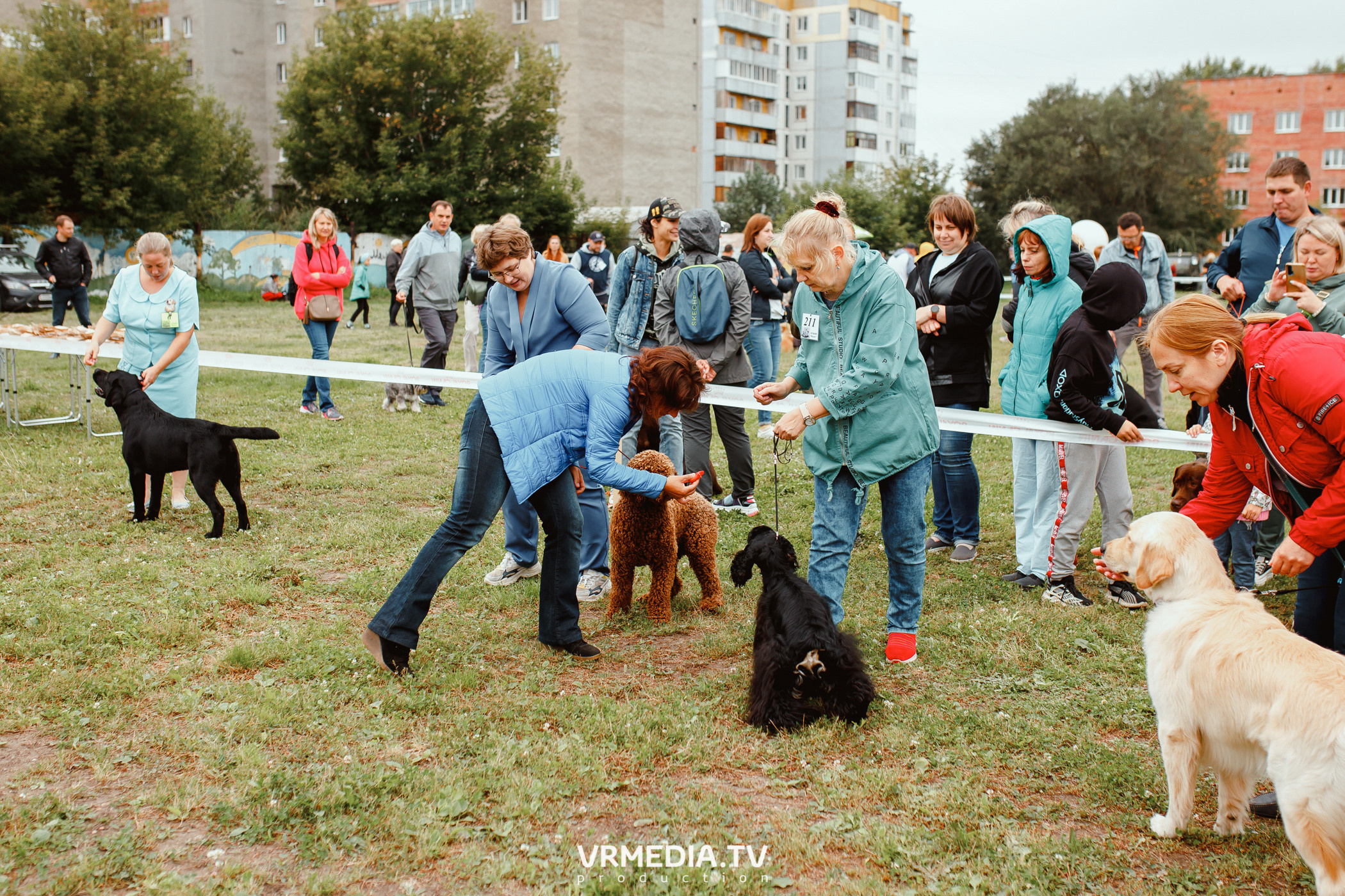 Монопородная выставка лабрадоров «КУЗБАСС 2021»