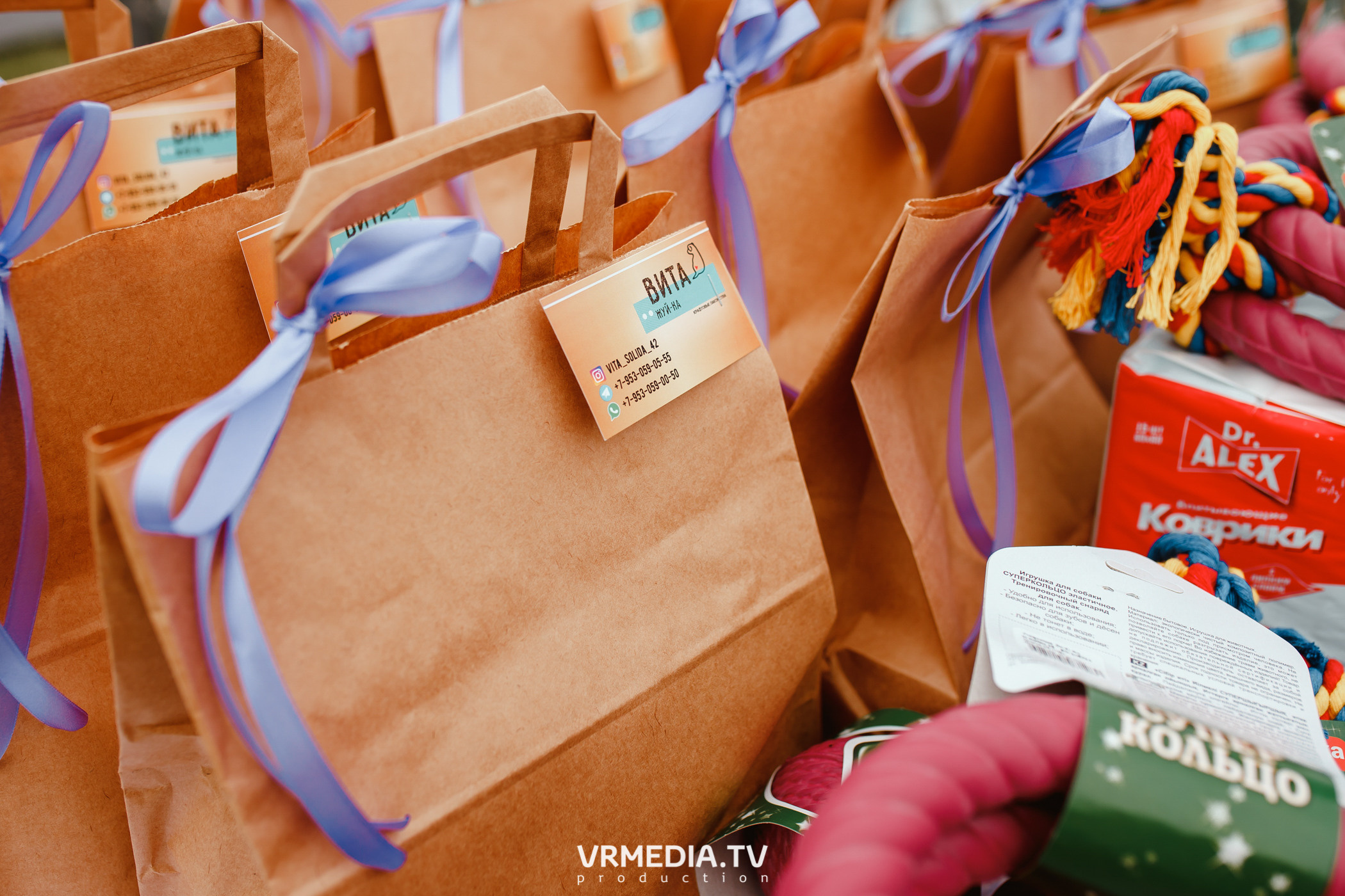 Монопородная выставка лабрадоров «КУЗБАСС 2021»