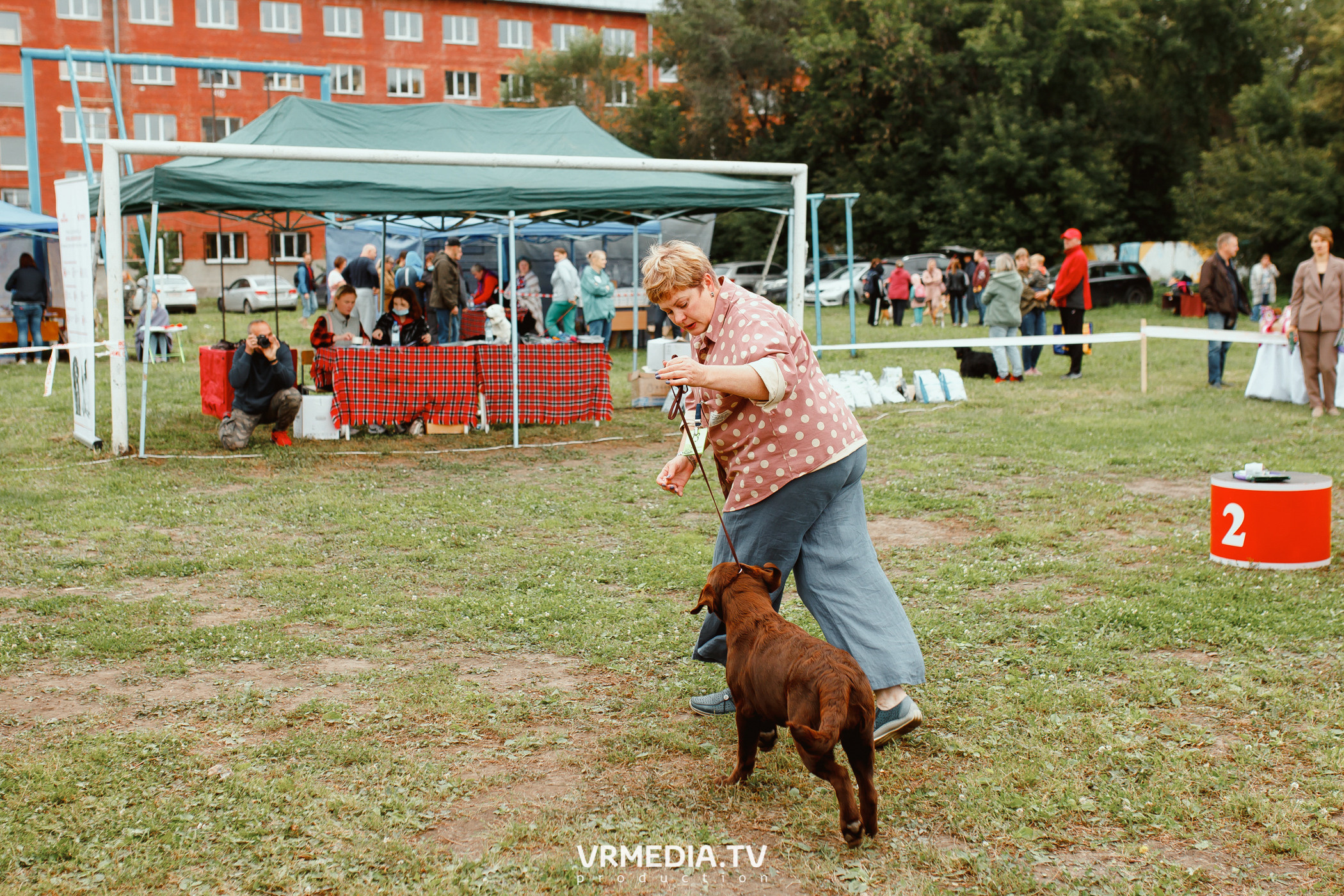 Монопородная выставка лабрадоров «КУЗБАСС 2021»