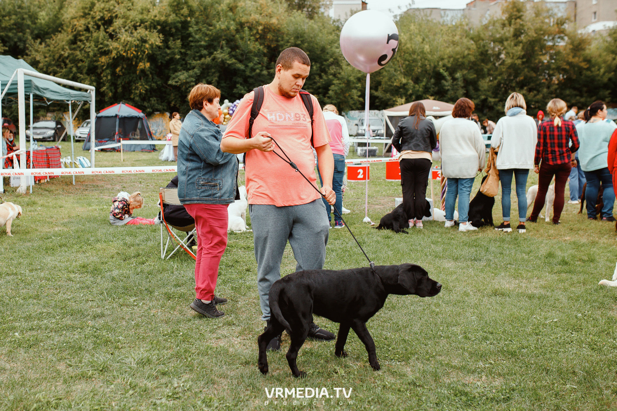 Монопородная выставка лабрадоров «КУЗБАСС 2021»