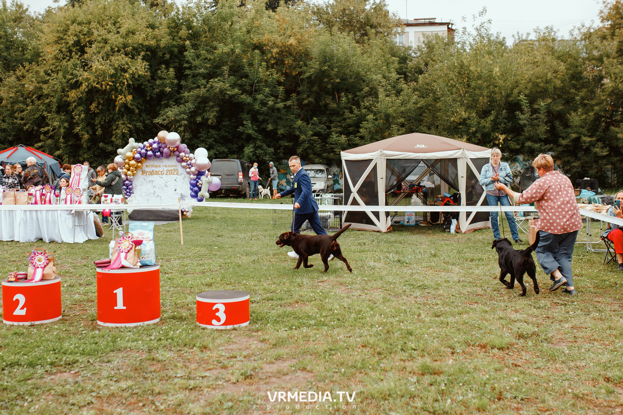 Монопородная выставка лабрадоров «КУЗБАСС 2021»