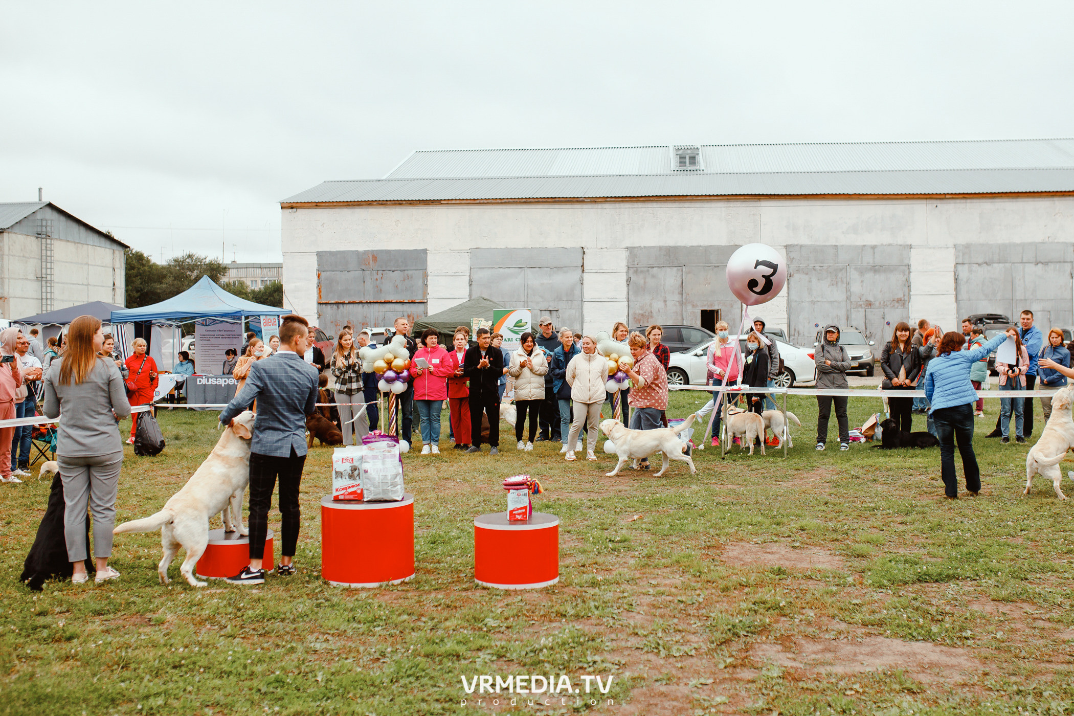 Монопородная выставка лабрадоров «КУЗБАСС 2021»