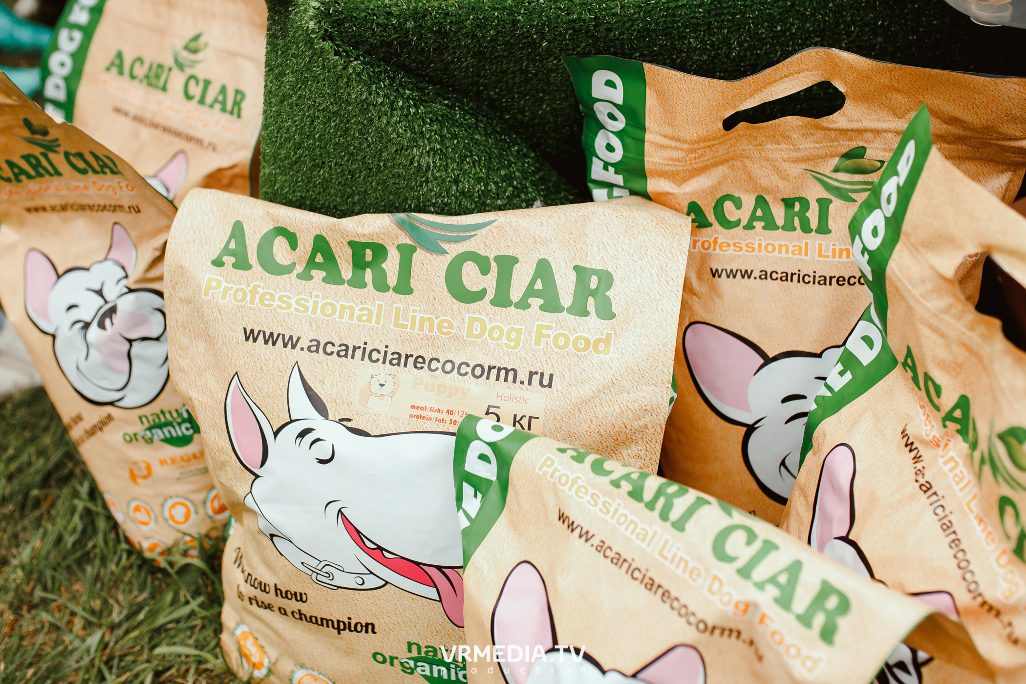 Монопородная выставка лабрадоров «КУЗБАСС 2021»