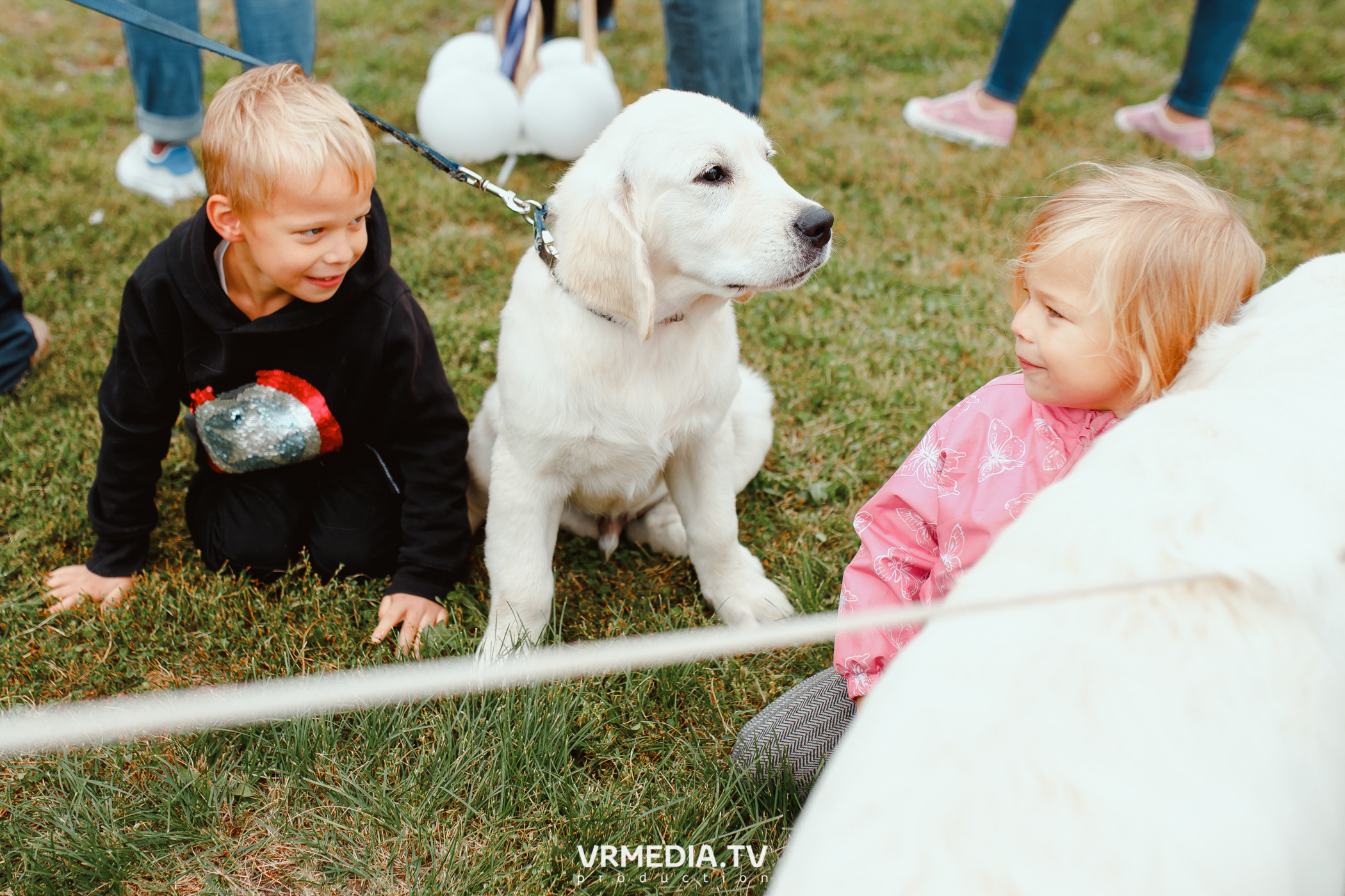 Монопородная выставка лабрадоров «КУЗБАСС 2021»