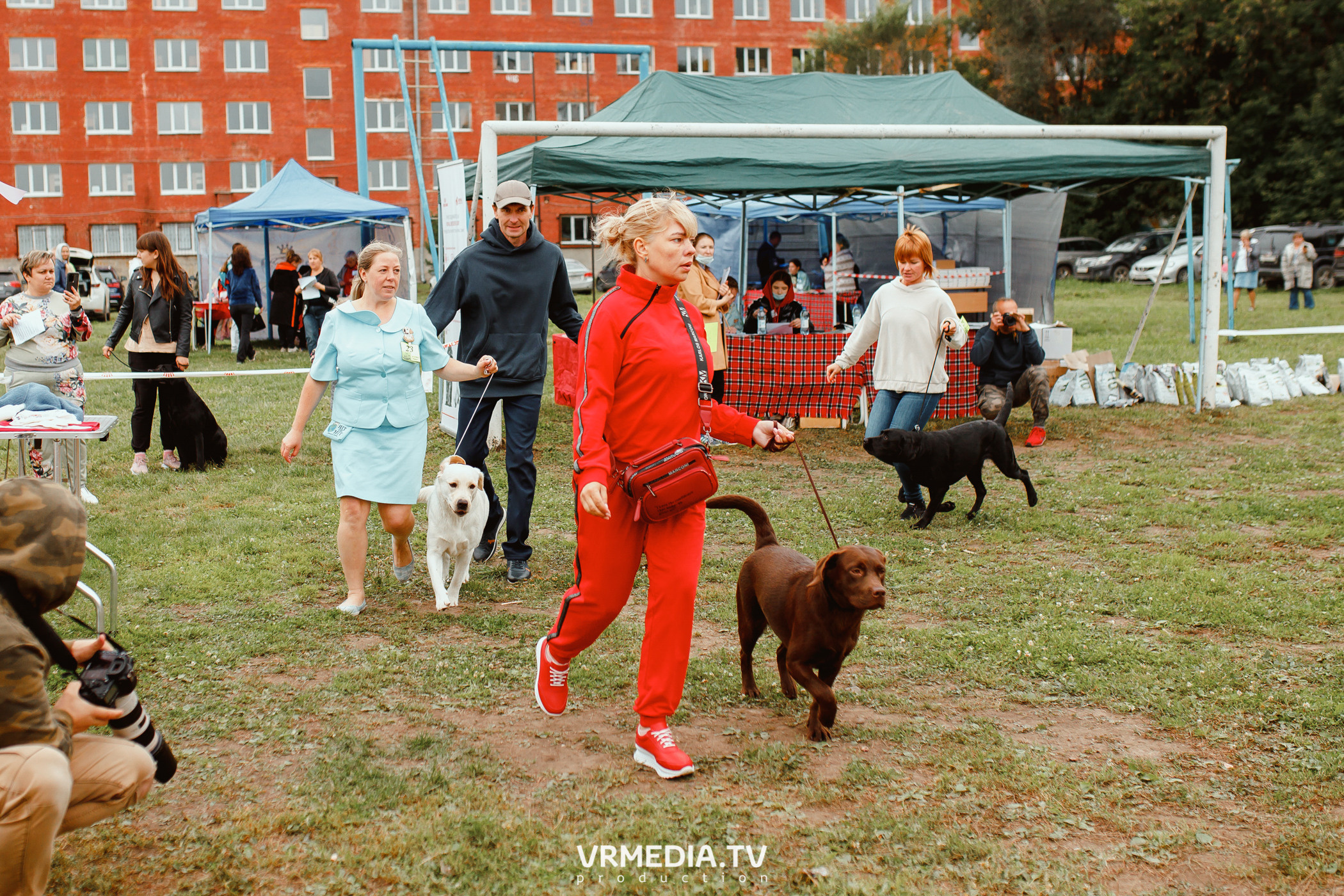 Монопородная выставка лабрадоров «КУЗБАСС 2021»