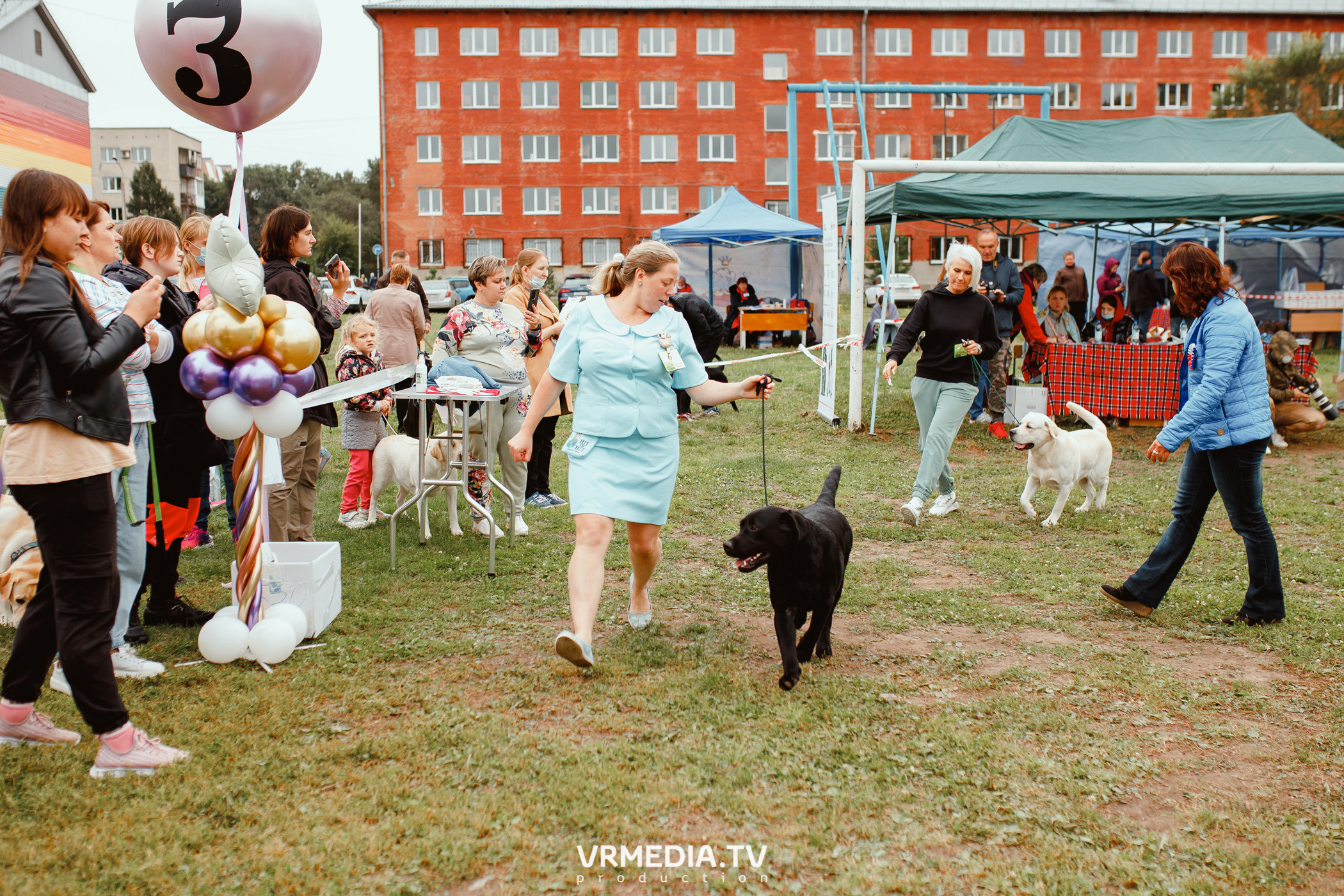 Монопородная выставка лабрадоров «КУЗБАСС 2021»