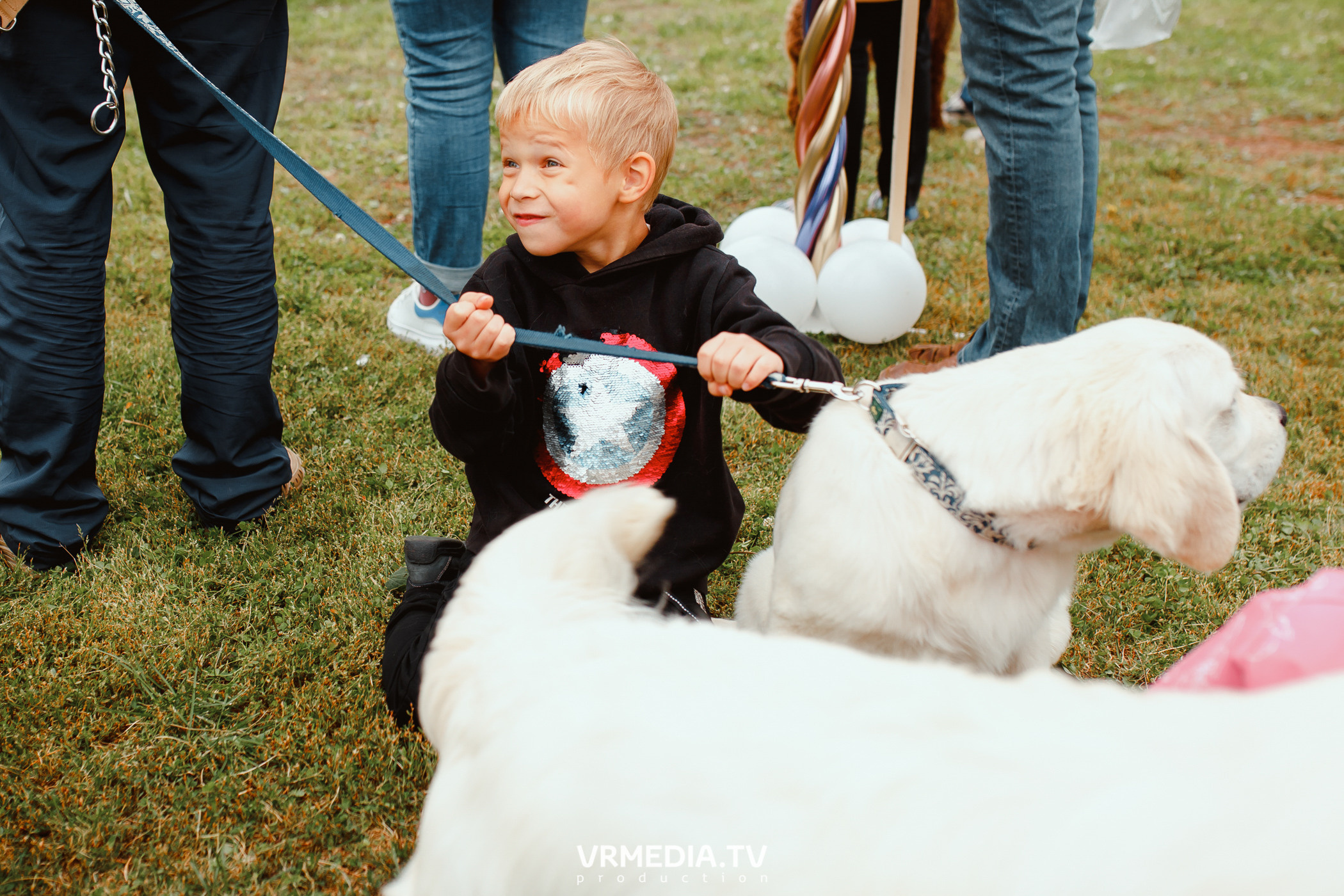 Монопородная выставка лабрадоров «КУЗБАСС 2021»