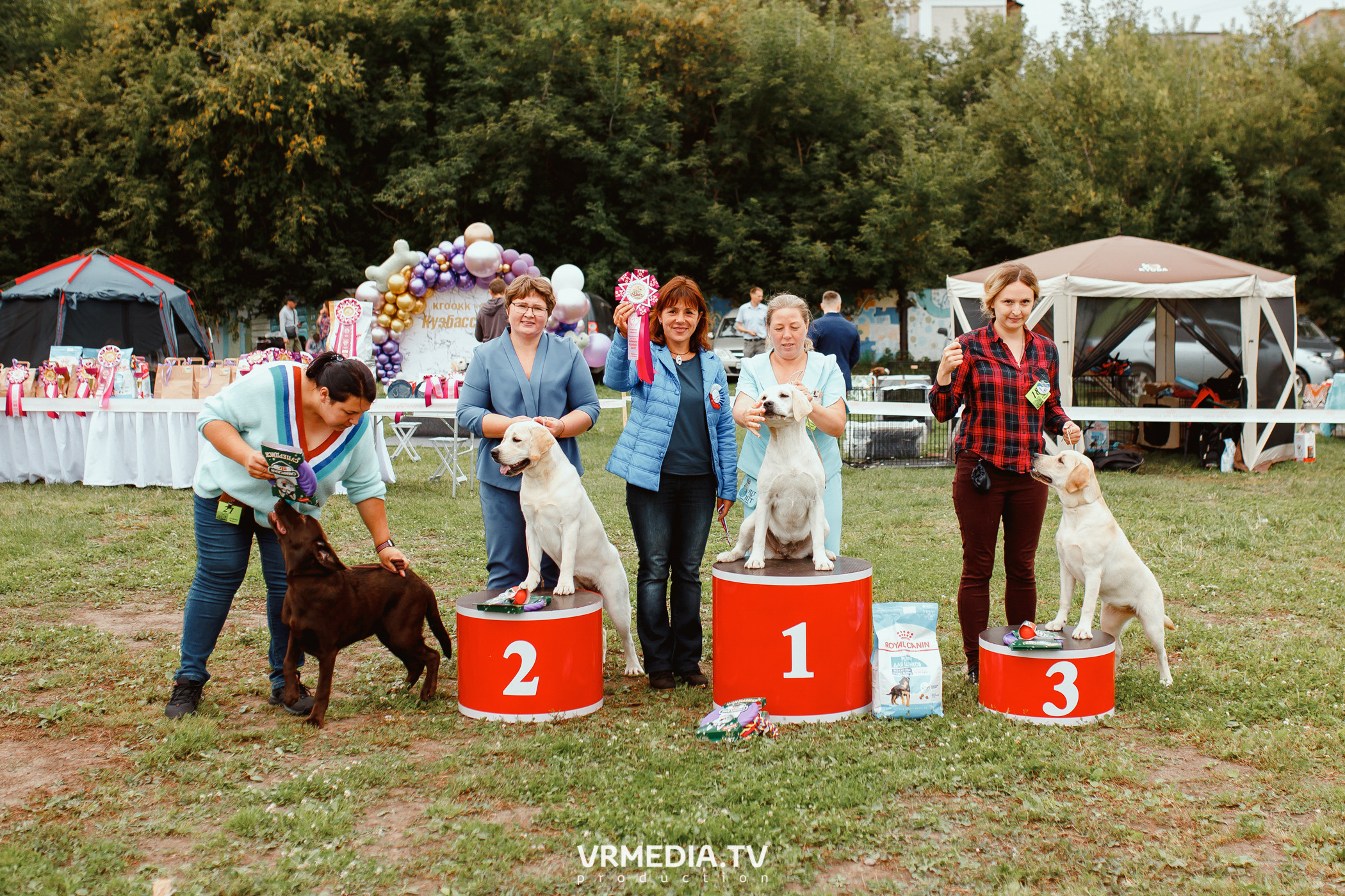 Монопородная выставка лабрадоров «КУЗБАСС 2021»