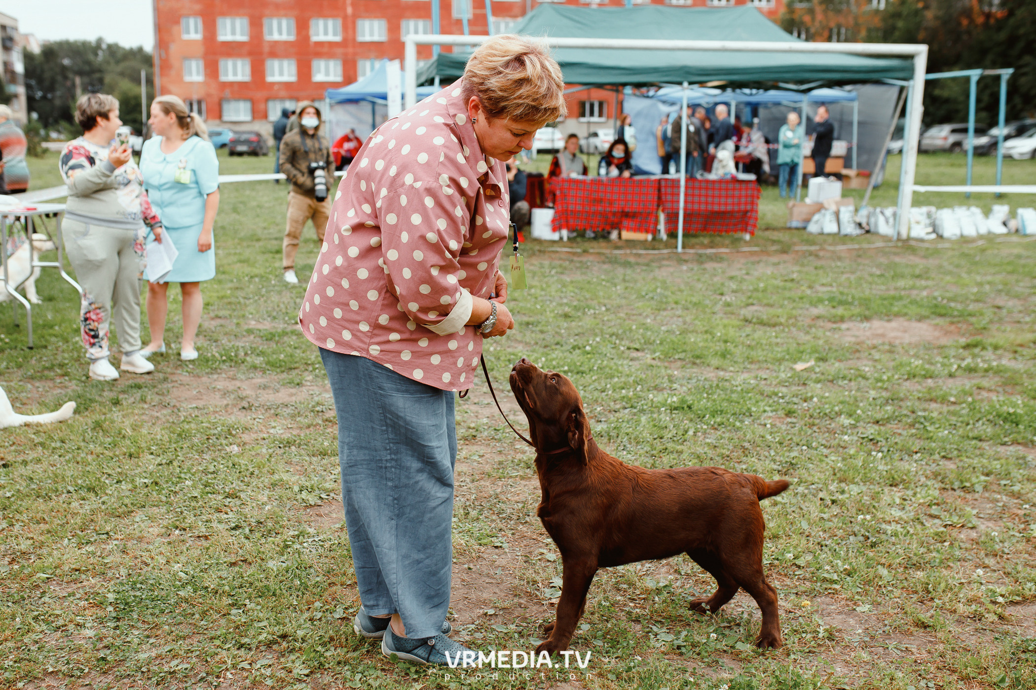 Монопородная выставка лабрадоров «КУЗБАСС 2021»