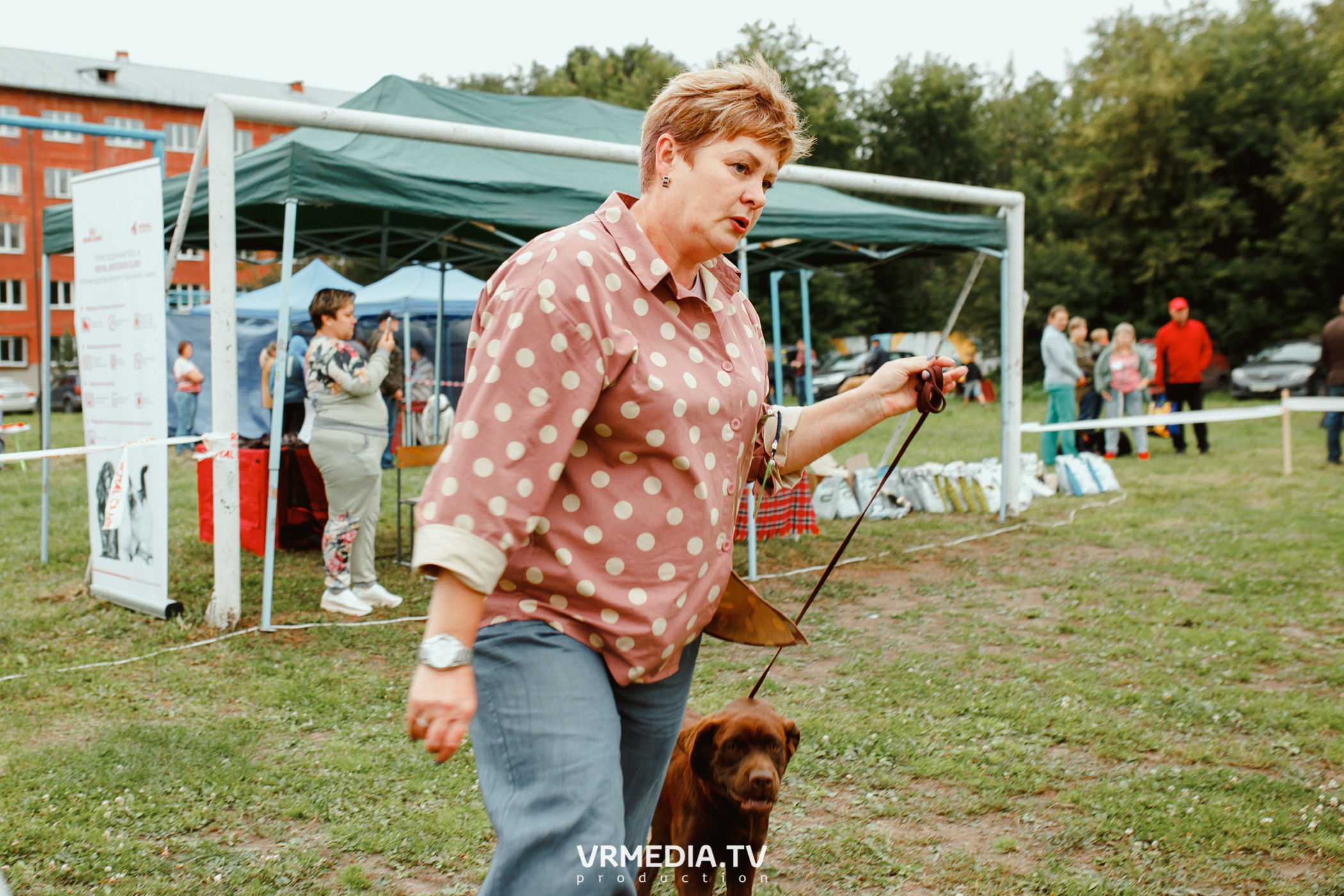 Монопородная выставка лабрадоров «КУЗБАСС 2021»