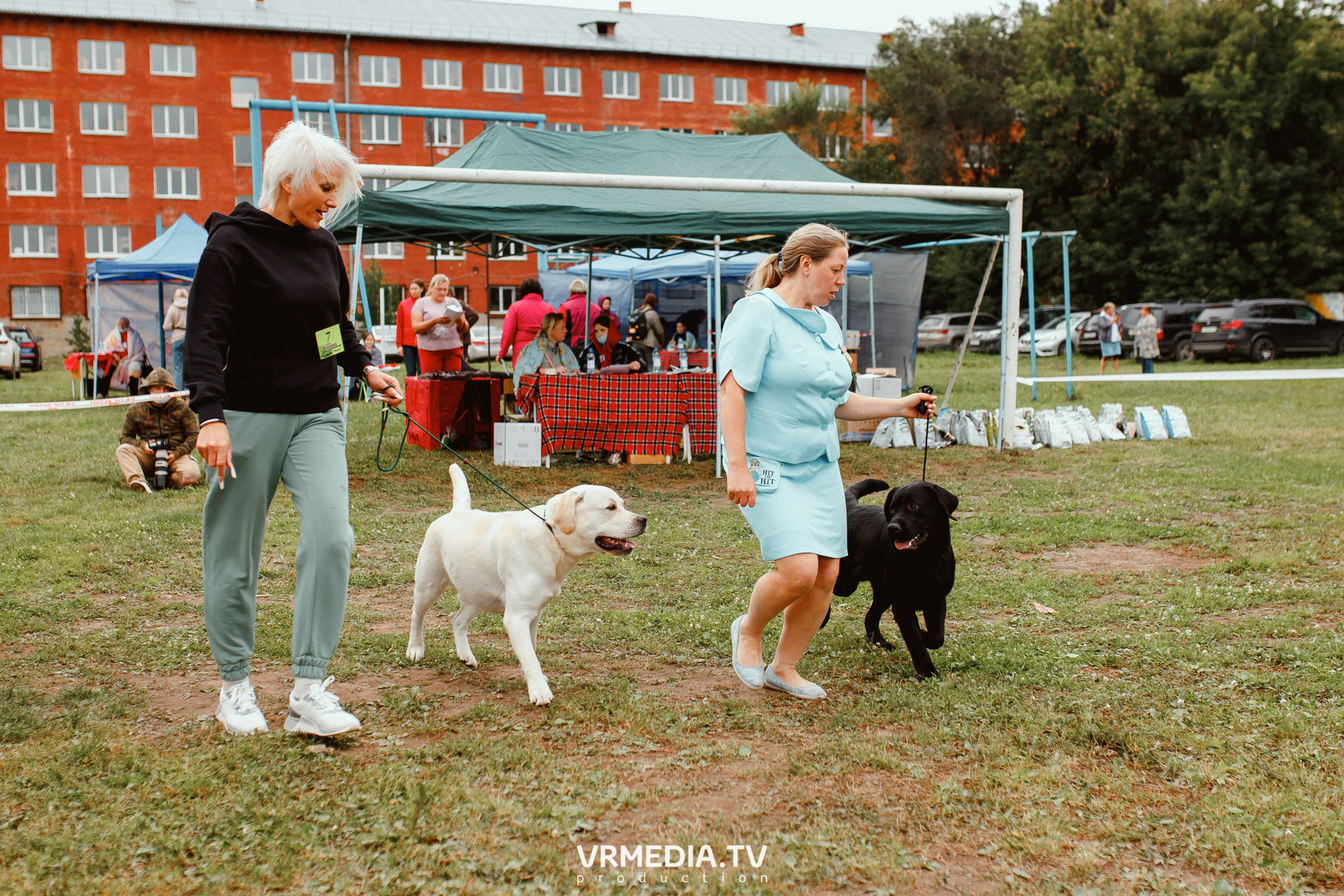 Монопородная выставка лабрадоров «КУЗБАСС 2021»