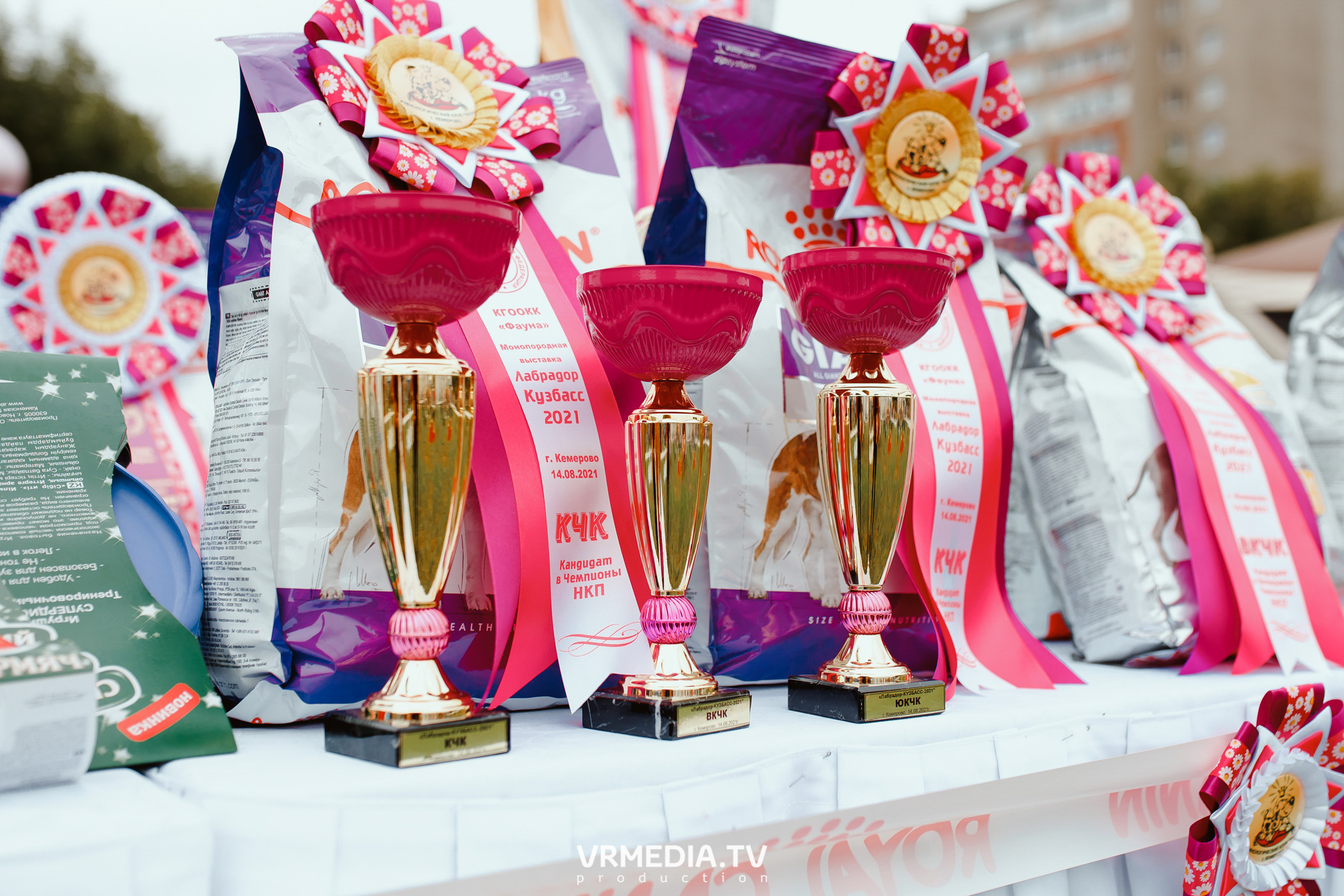 Монопородная выставка лабрадоров «КУЗБАСС 2021»