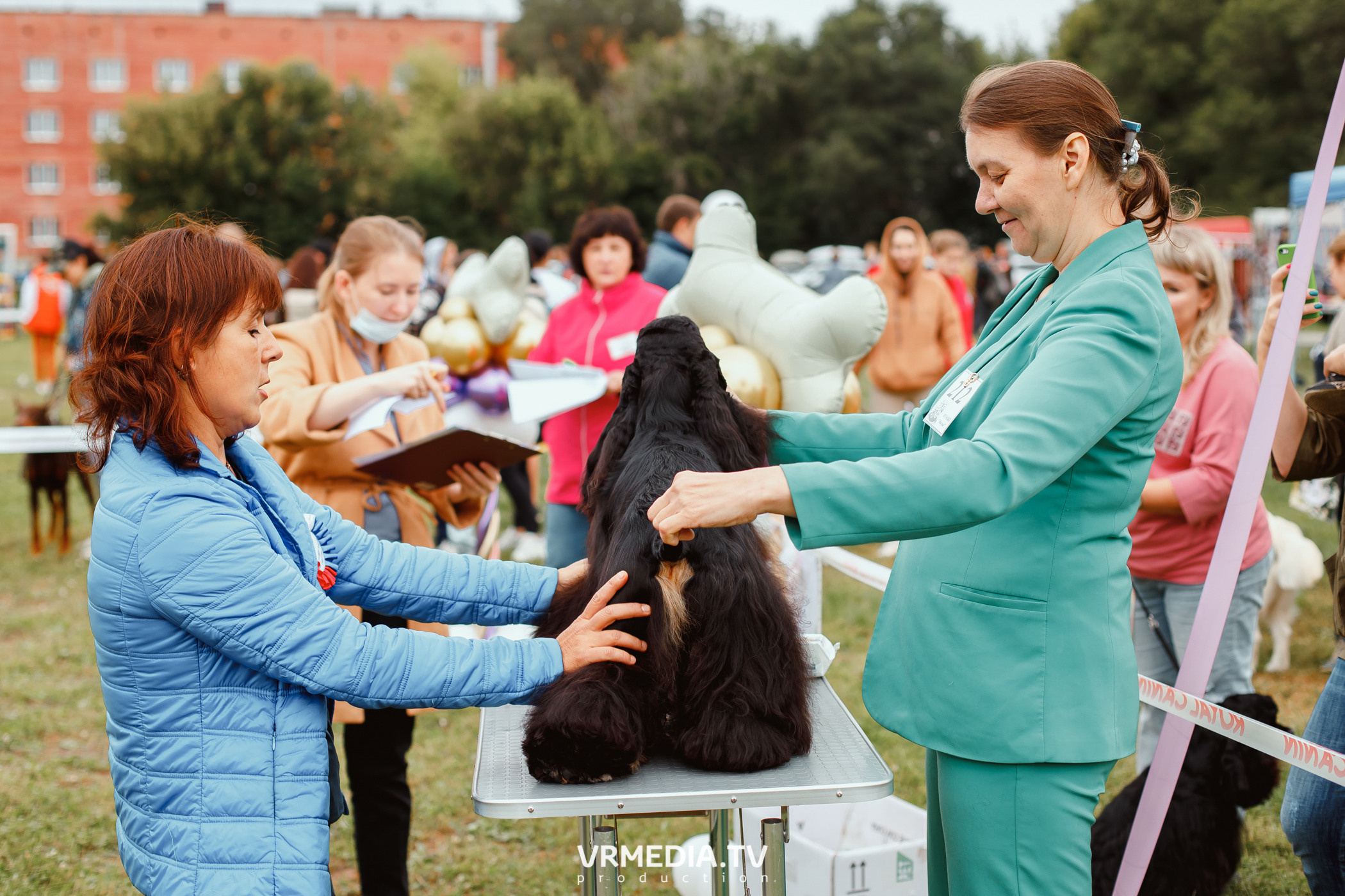 Монопородная выставка лабрадоров «КУЗБАСС 2021»