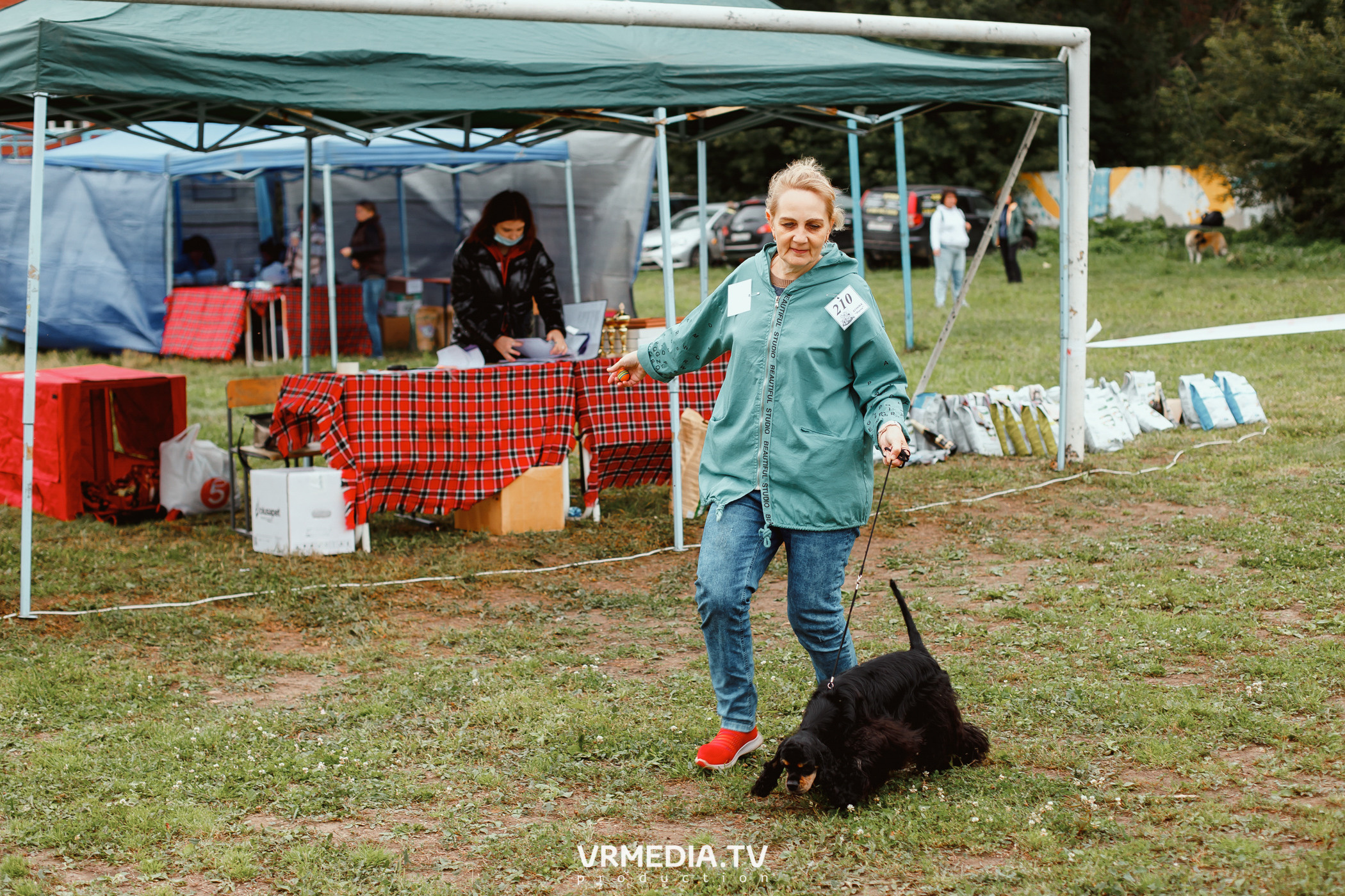 Монопородная выставка лабрадоров «КУЗБАСС 2021»