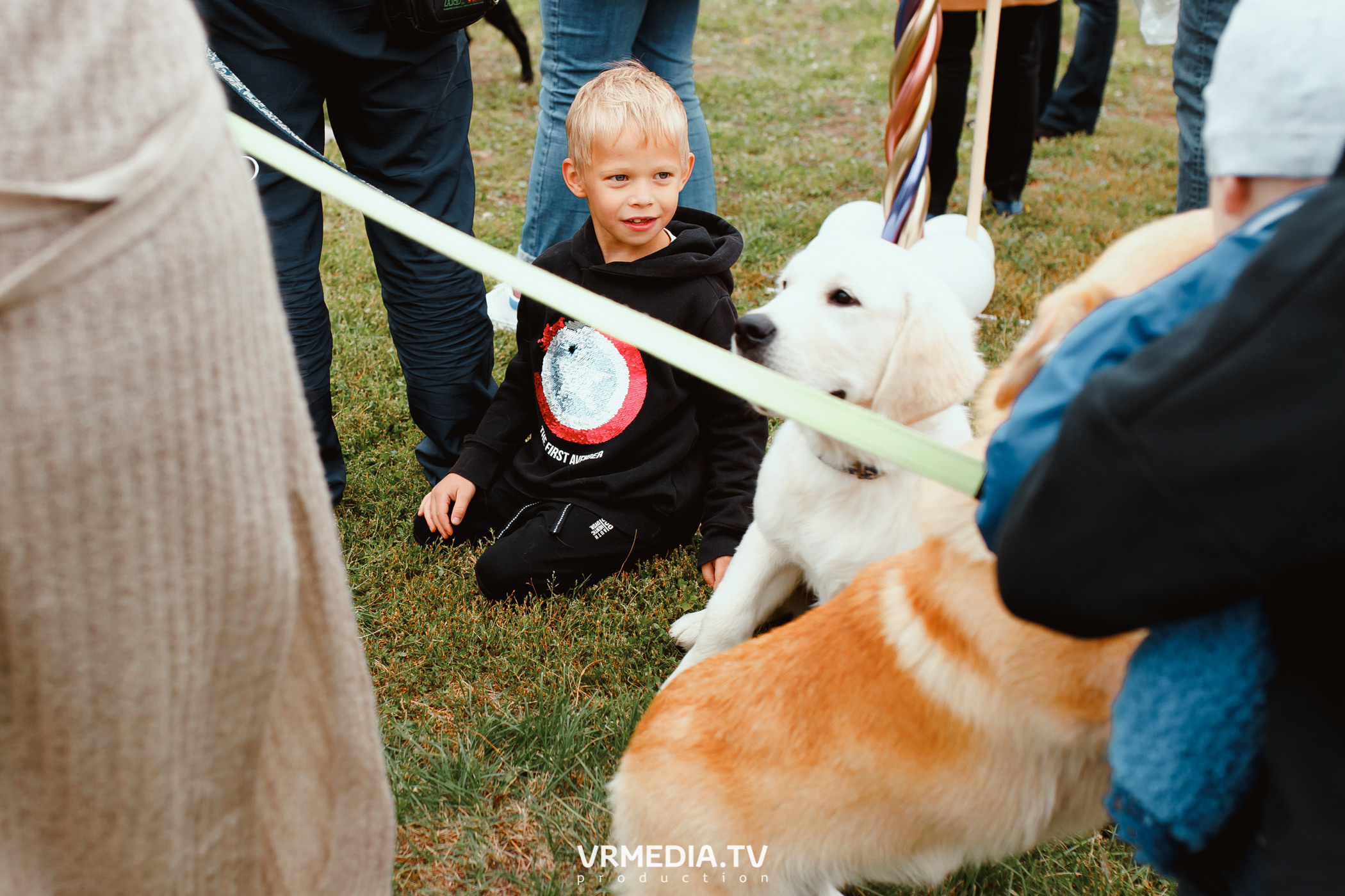 Монопородная выставка лабрадоров «КУЗБАСС 2021»