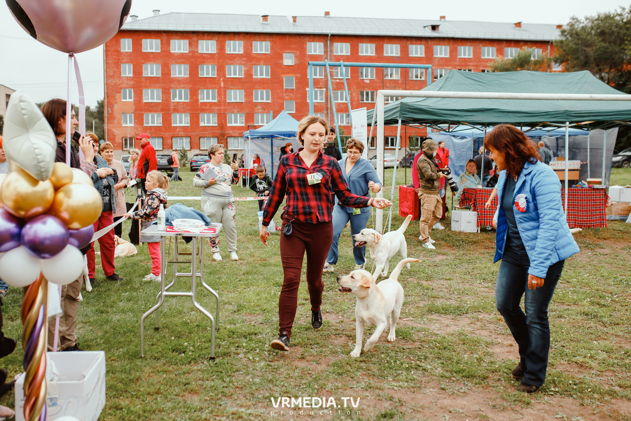 Монопородная выставка лабрадоров «КУЗБАСС 2021»
