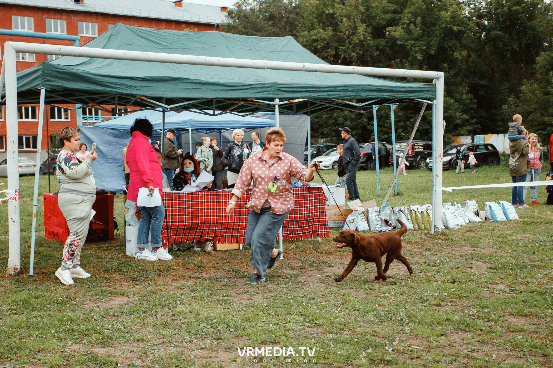 Монопородная выставка лабрадоров «КУЗБАСС 2021»