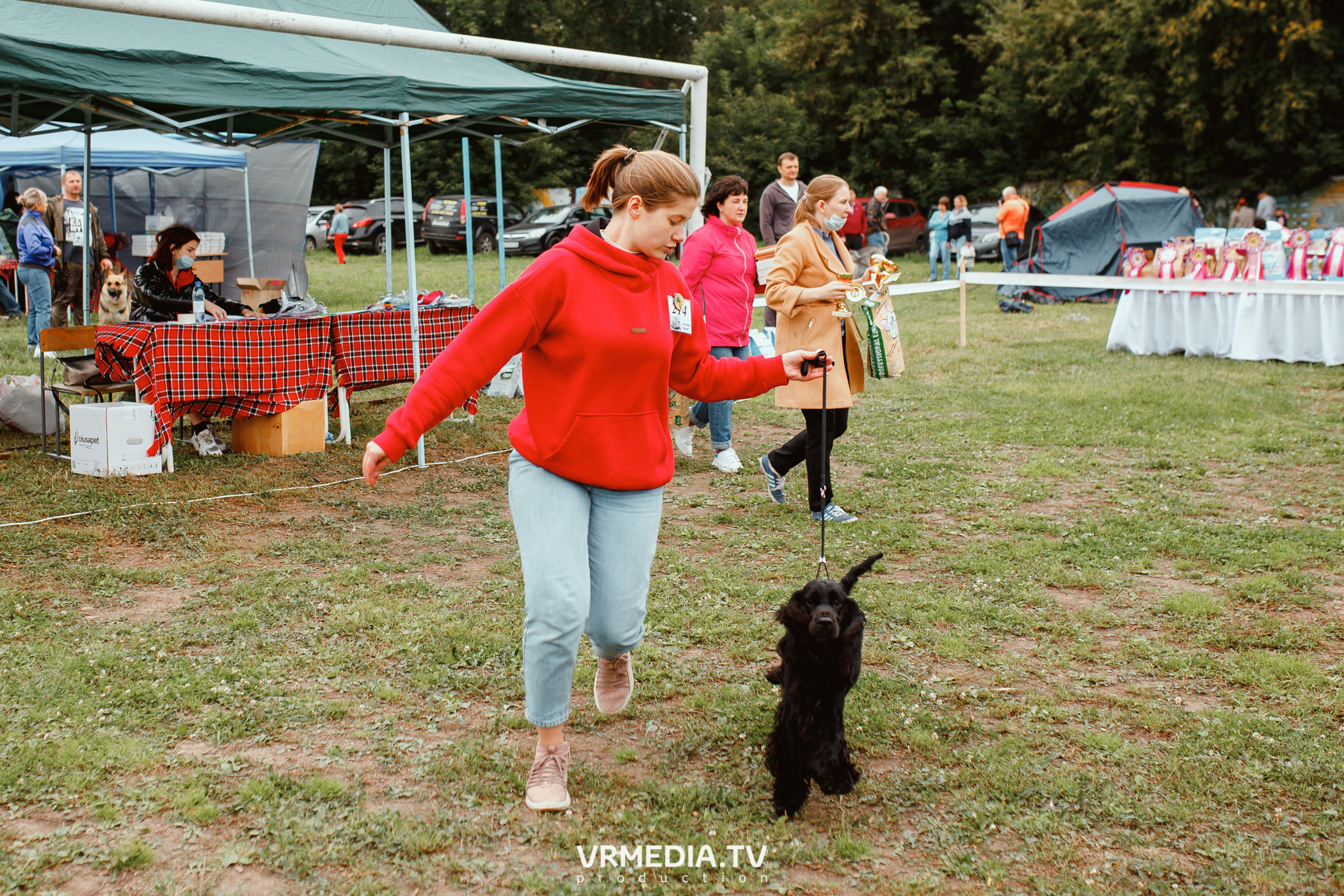 Монопородная выставка лабрадоров «КУЗБАСС 2021»