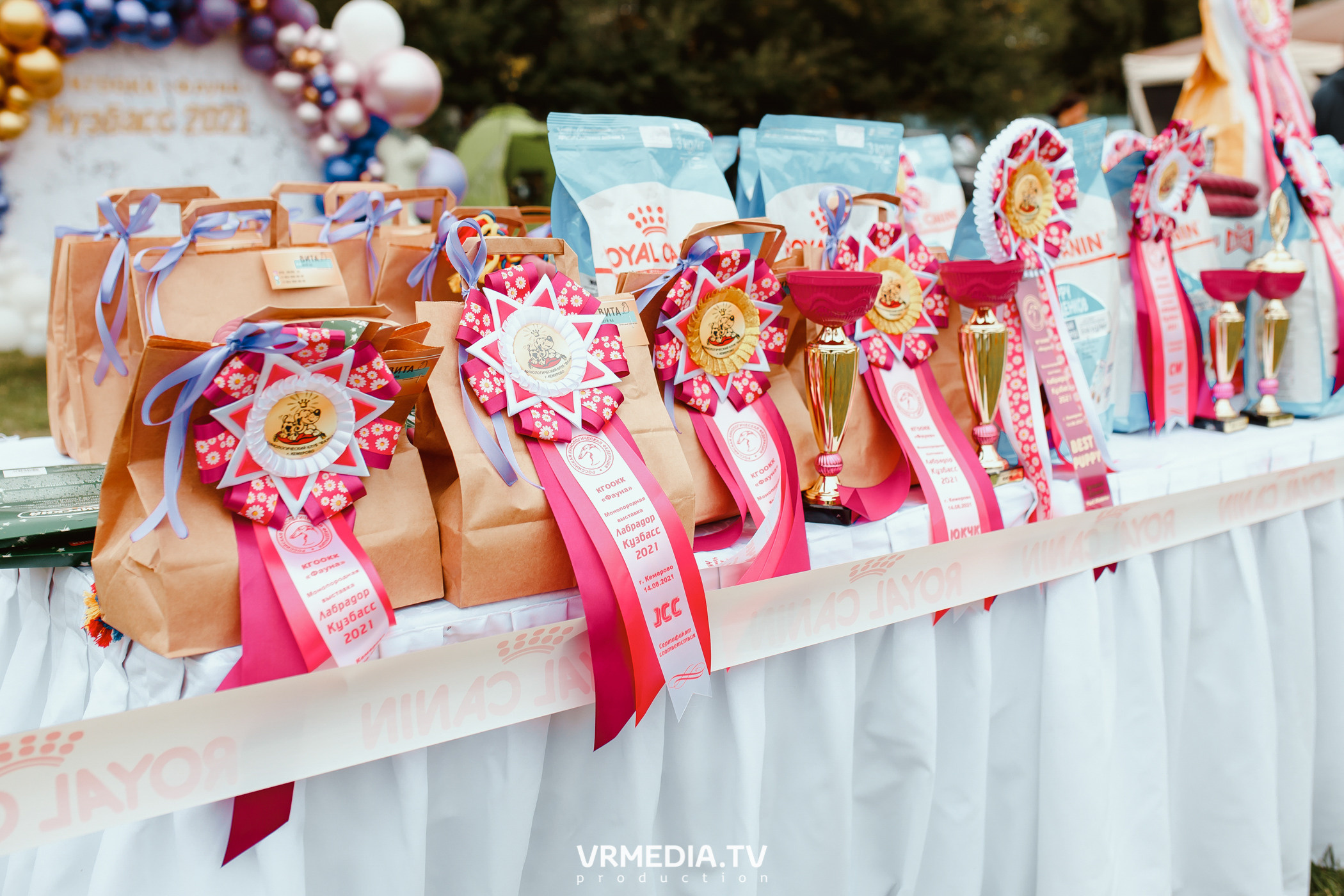 Монопородная выставка лабрадоров «КУЗБАСС 2021»