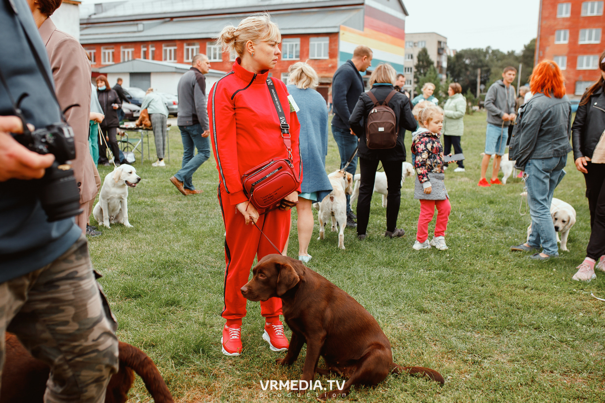 Монопородная выставка лабрадоров «КУЗБАСС 2021»