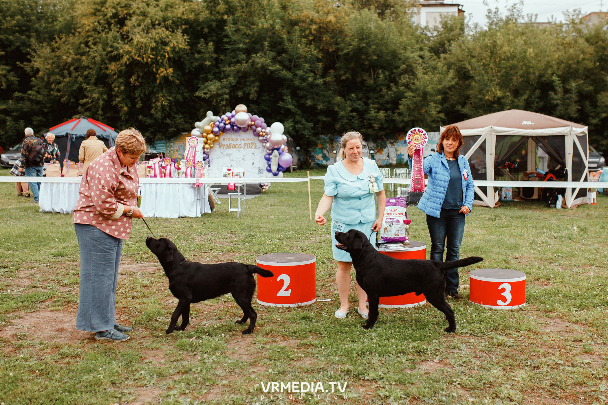 Монопородная выставка лабрадоров «КУЗБАСС 2021»