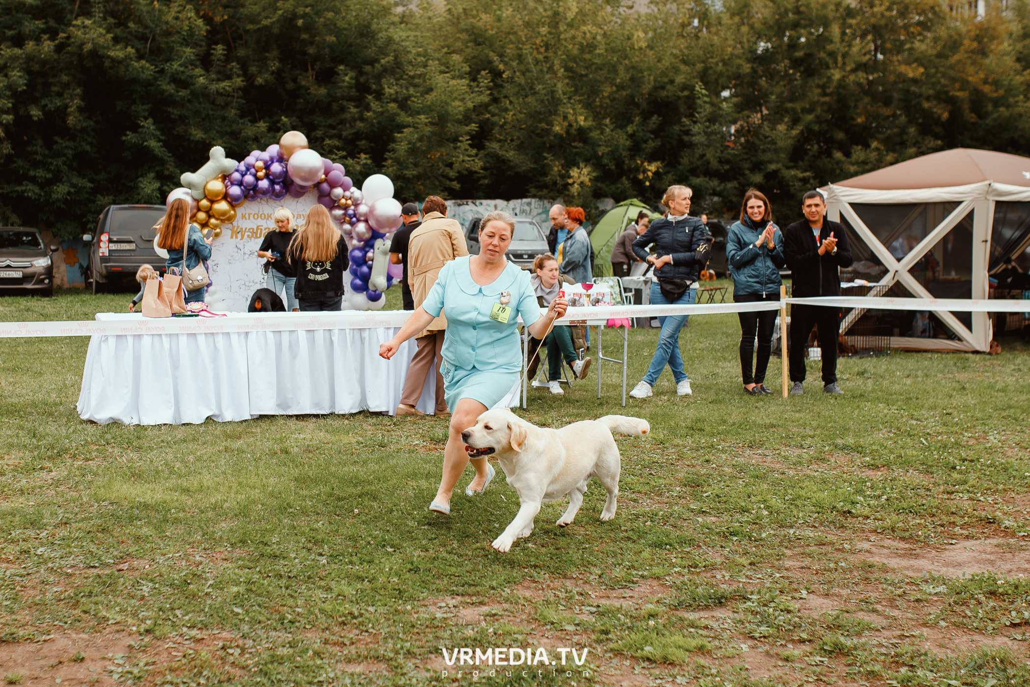 Монопородная выставка лабрадоров «КУЗБАСС 2021»