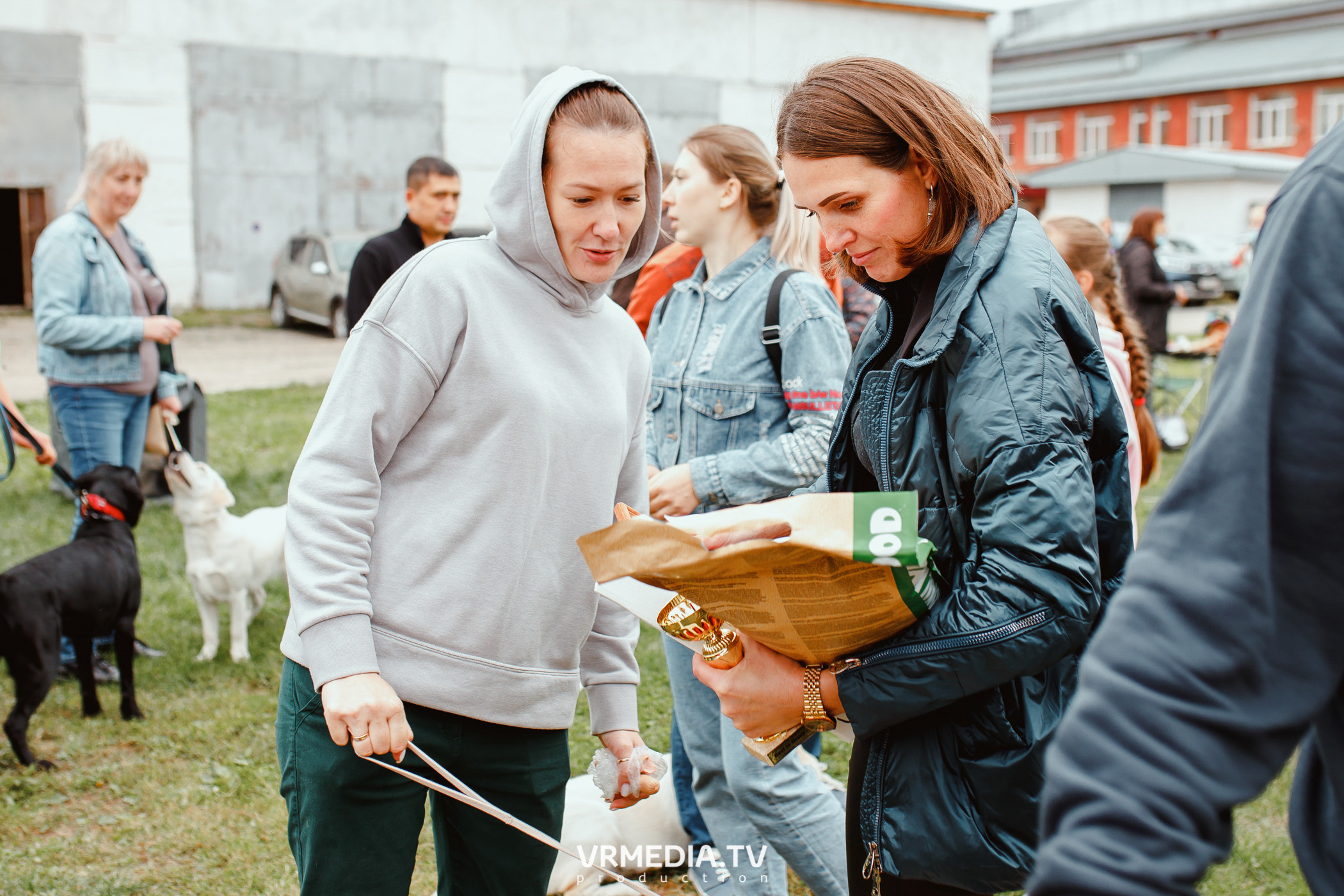 Монопородная выставка лабрадоров «КУЗБАСС 2021»