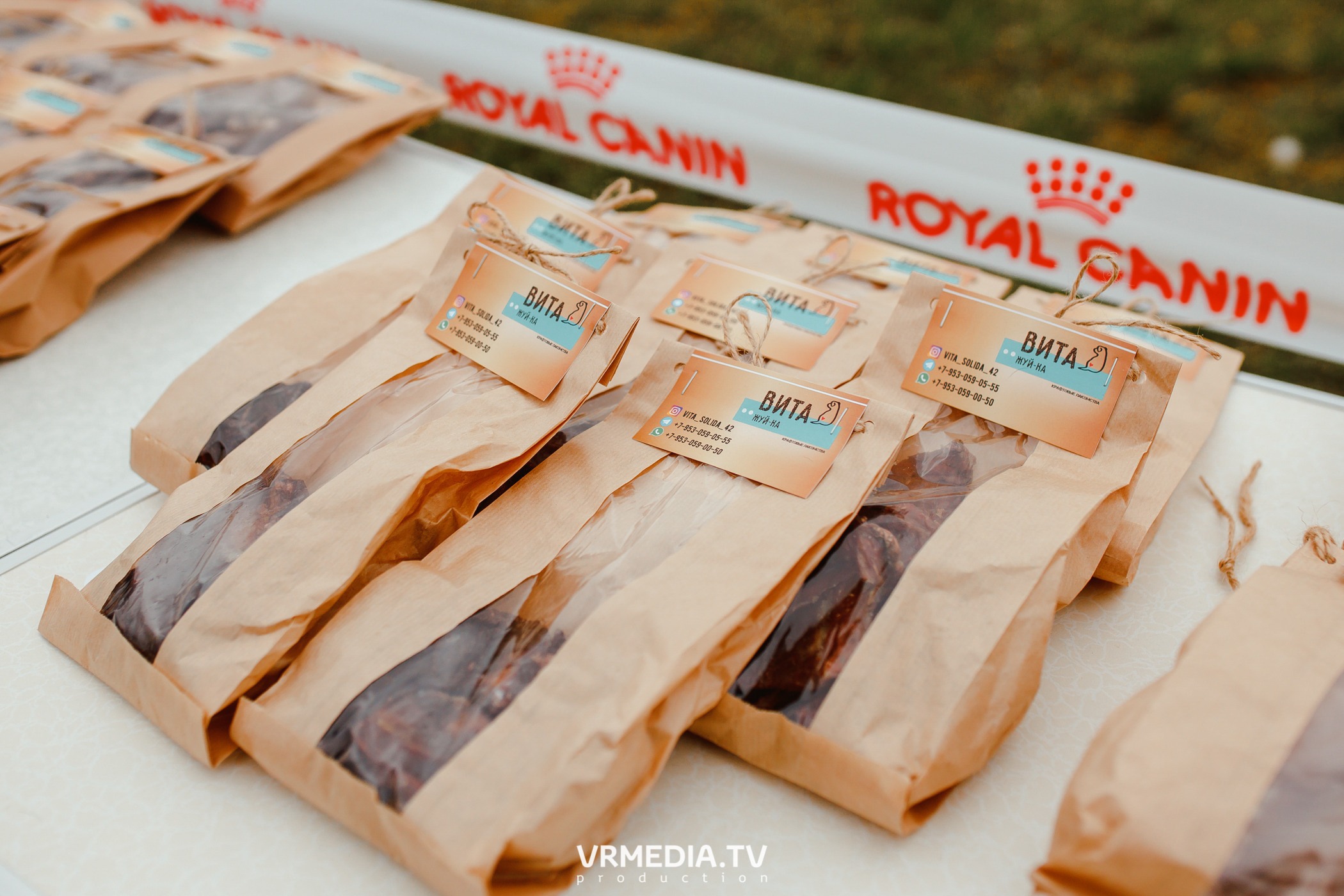 Монопородная выставка лабрадоров «КУЗБАСС 2021»