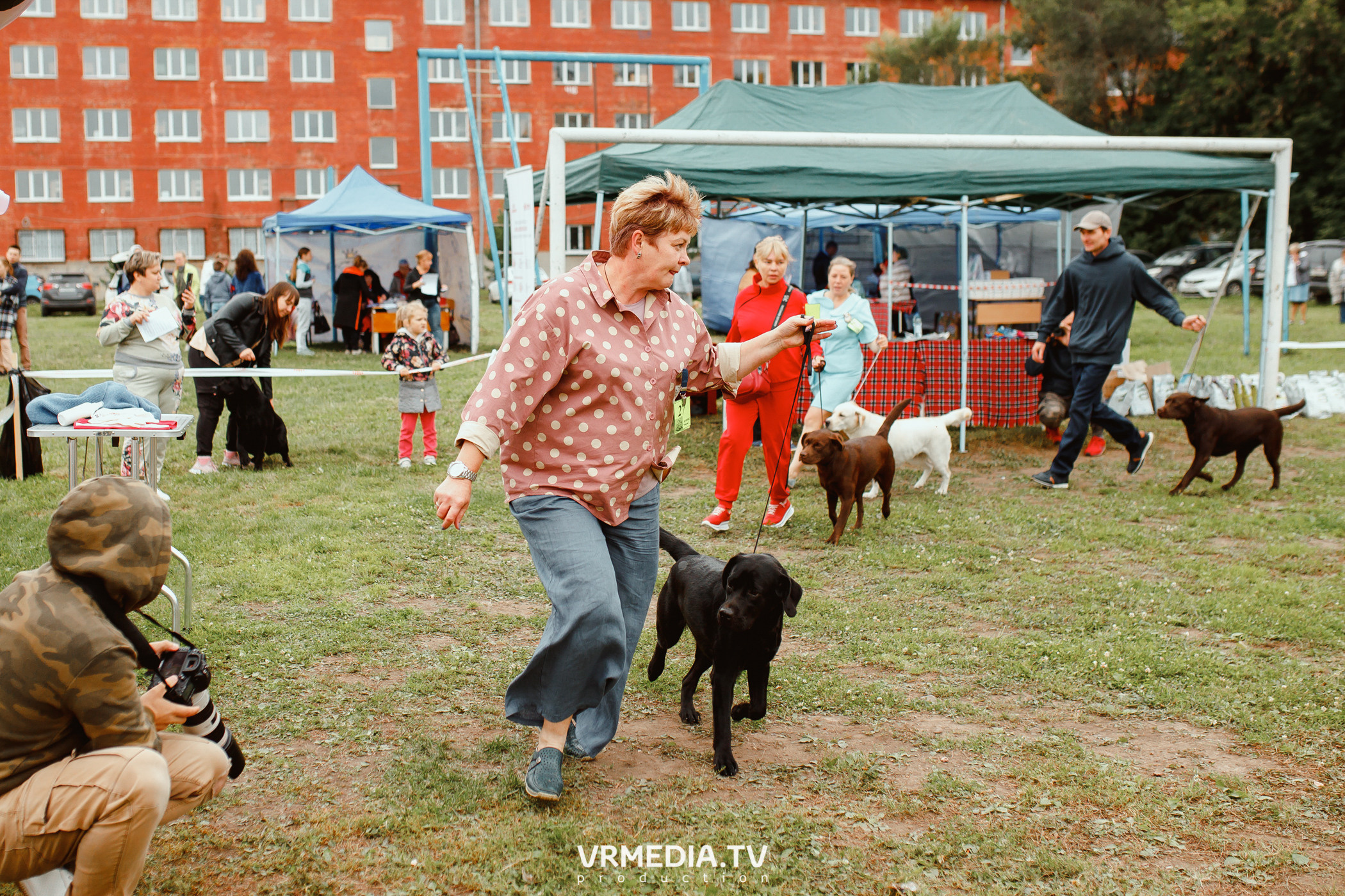 Монопородная выставка лабрадоров «КУЗБАСС 2021»