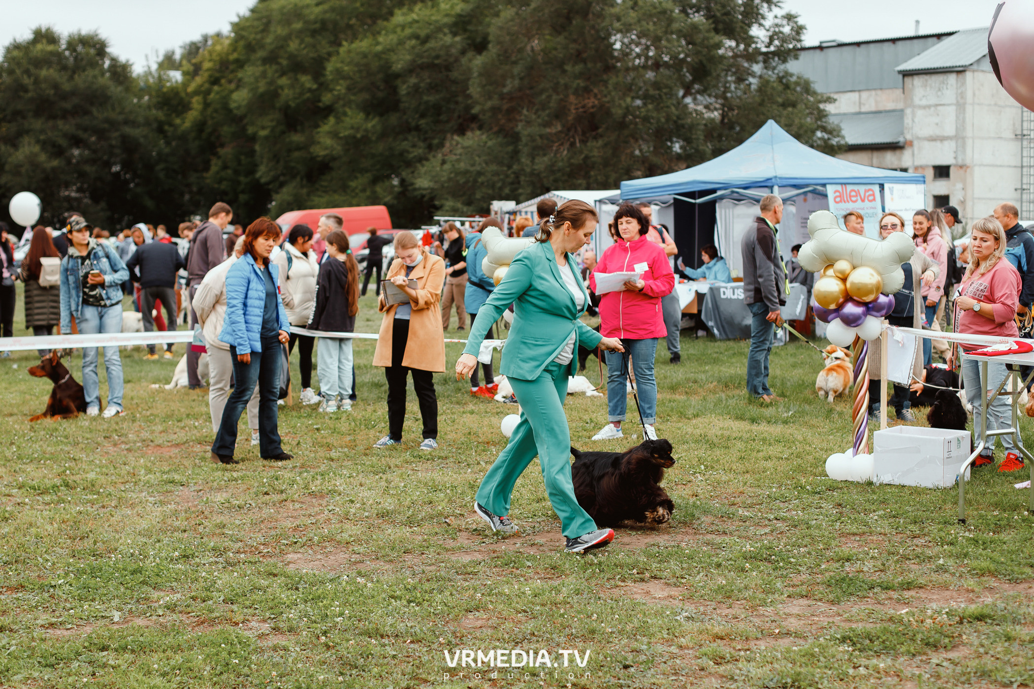 Монопородная выставка лабрадоров «КУЗБАСС 2021»