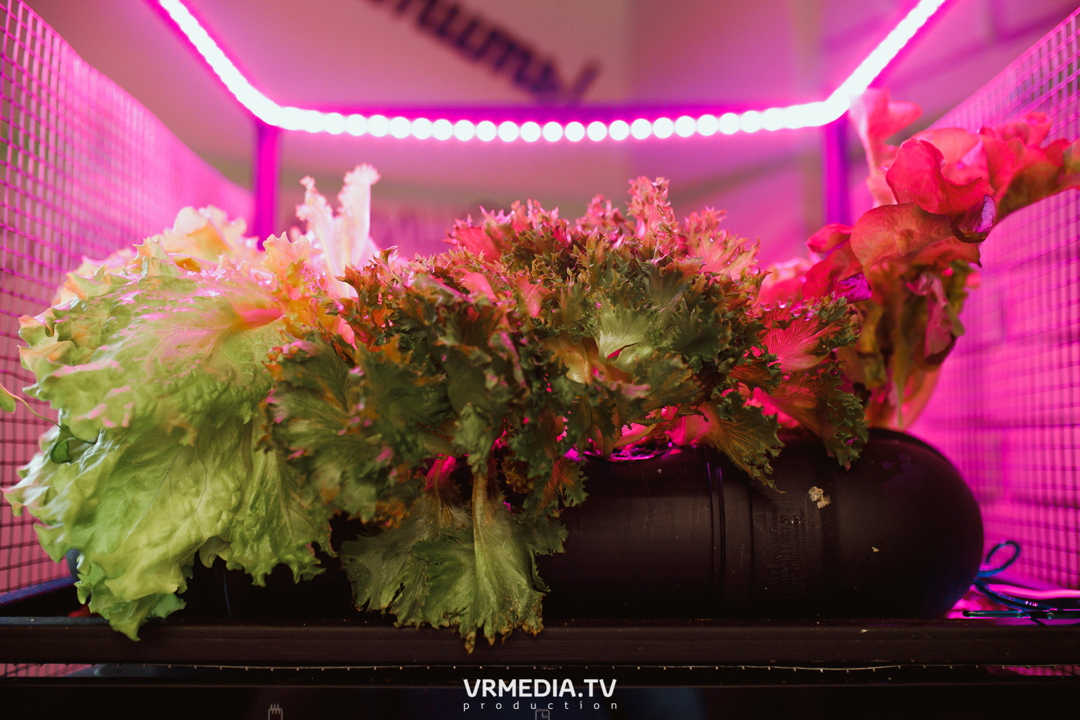 Выпускной 9 класс детского дома #105 в студии «Артишок»