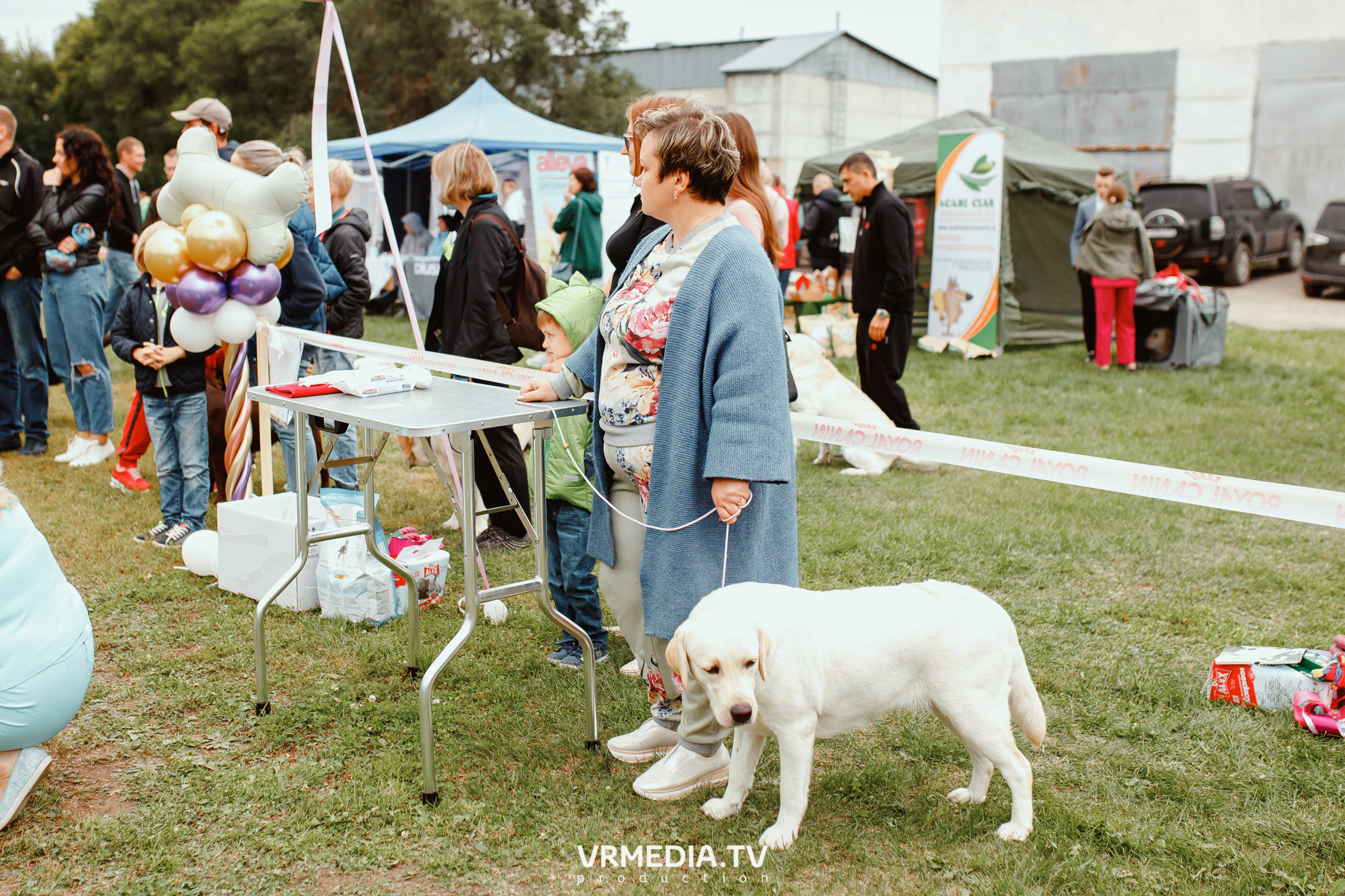 Монопородная выставка лабрадоров «КУЗБАСС 2021»