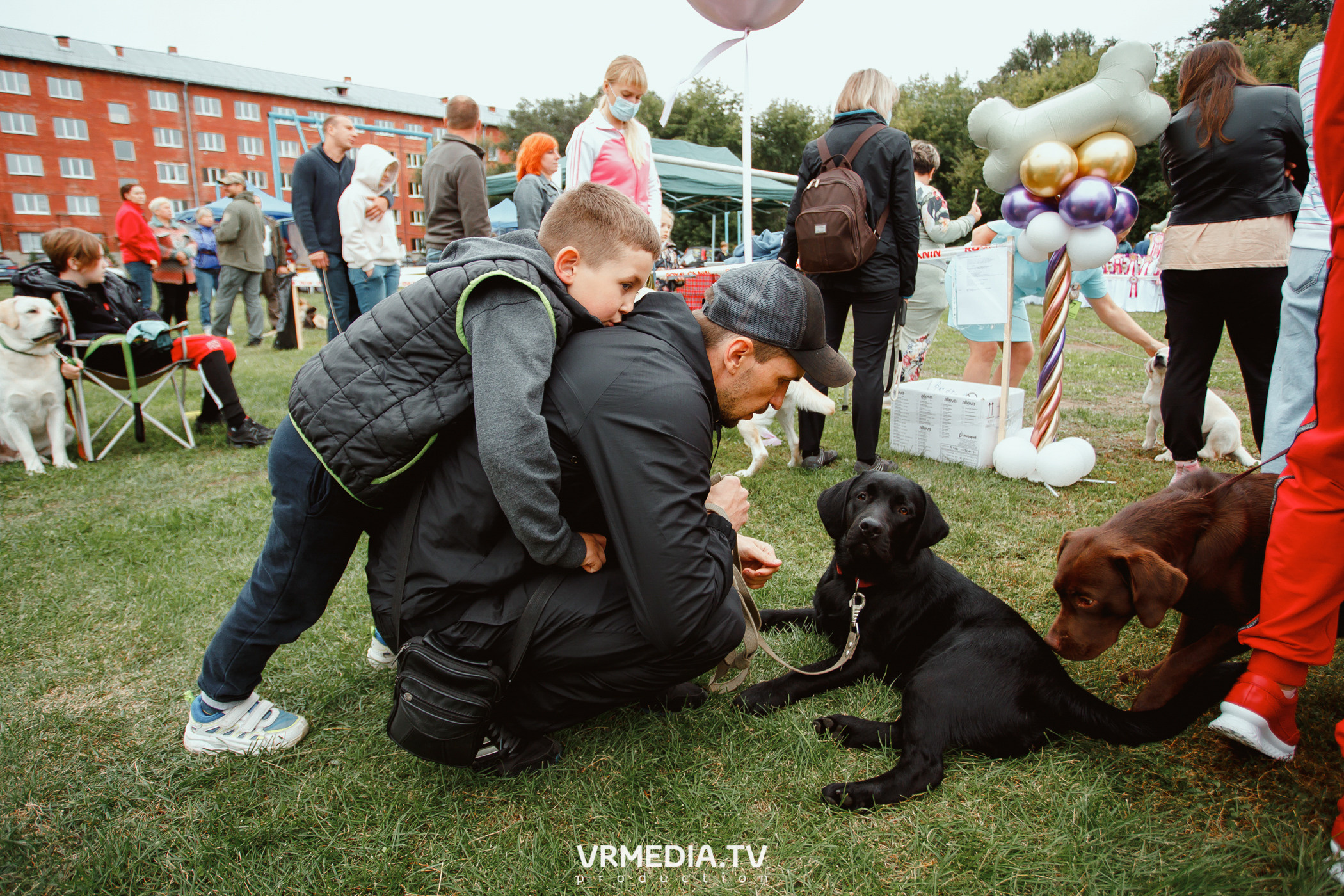 Монопородная выставка лабрадоров «КУЗБАСС 2021»