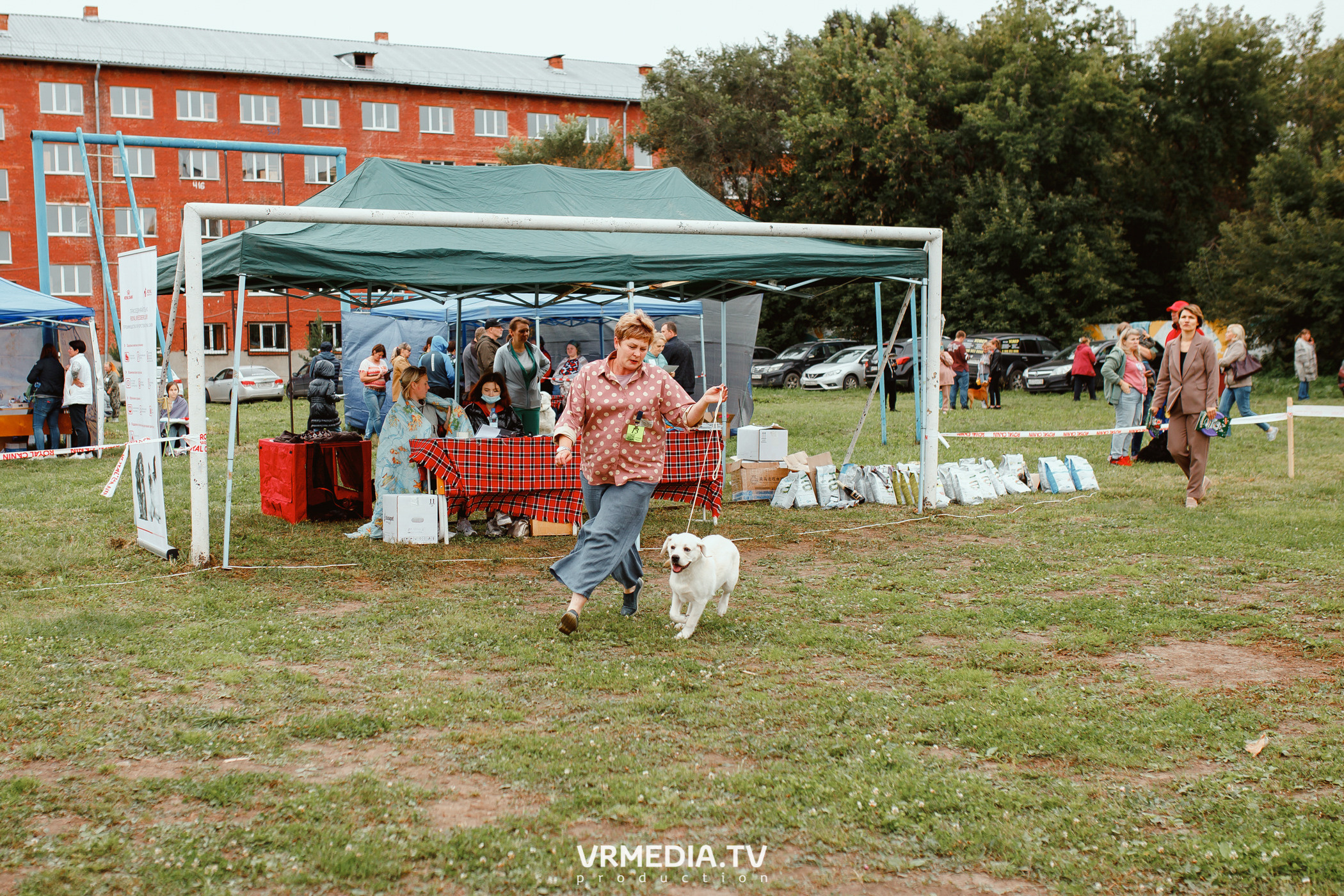 Монопородная выставка лабрадоров «КУЗБАСС 2021»