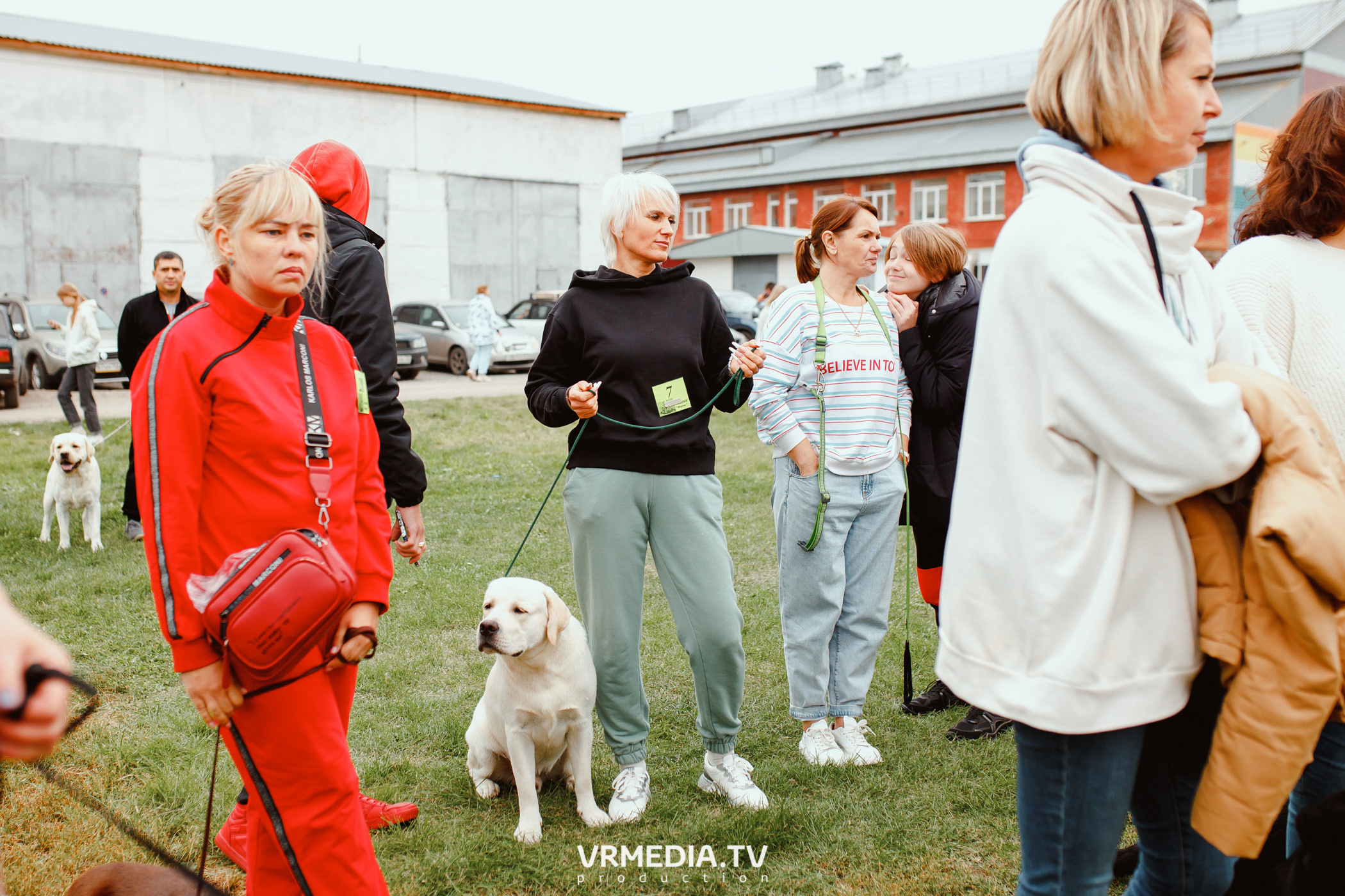 Монопородная выставка лабрадоров «КУЗБАСС 2021»