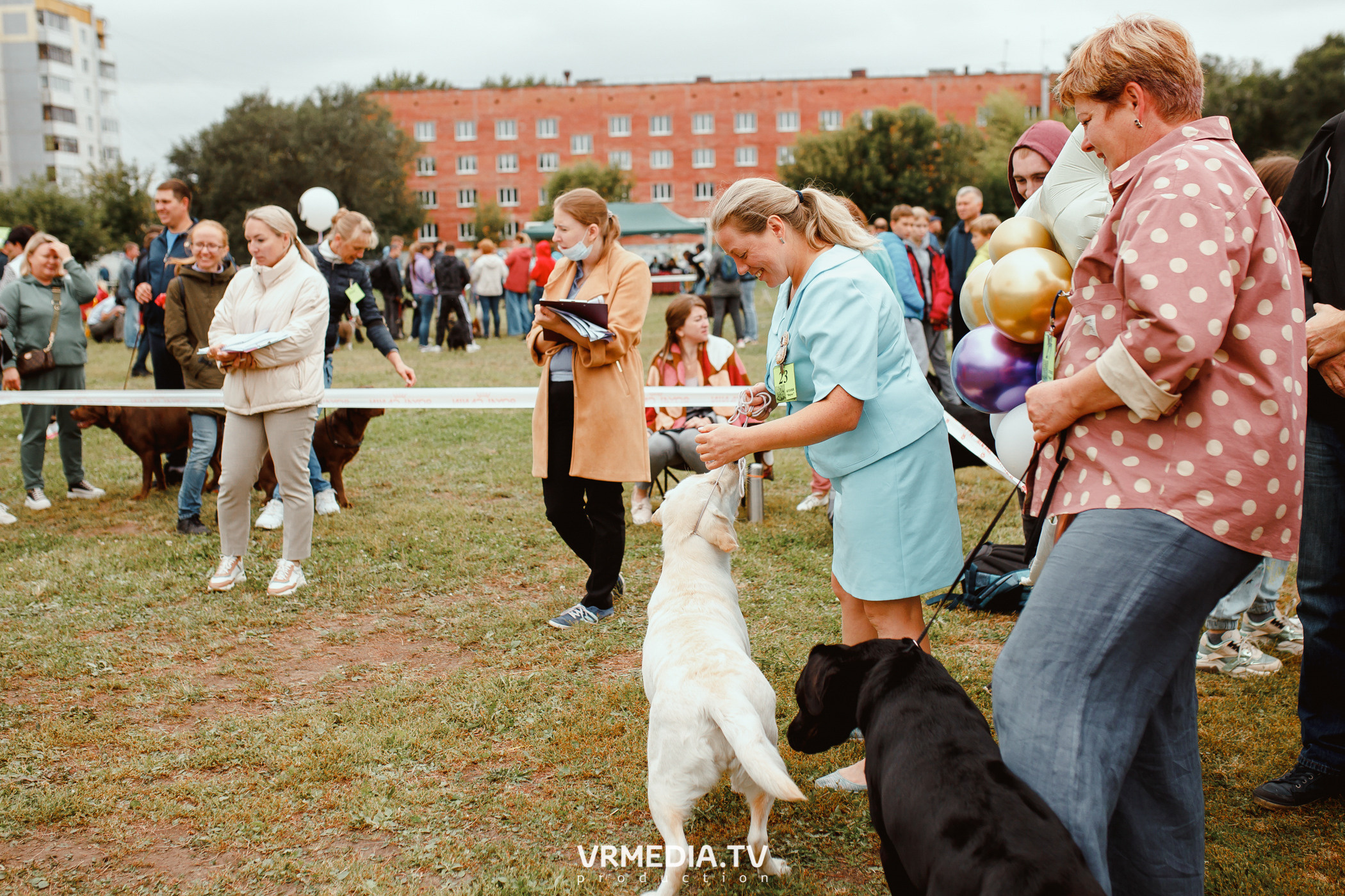 Монопородная выставка лабрадоров «КУЗБАСС 2021»