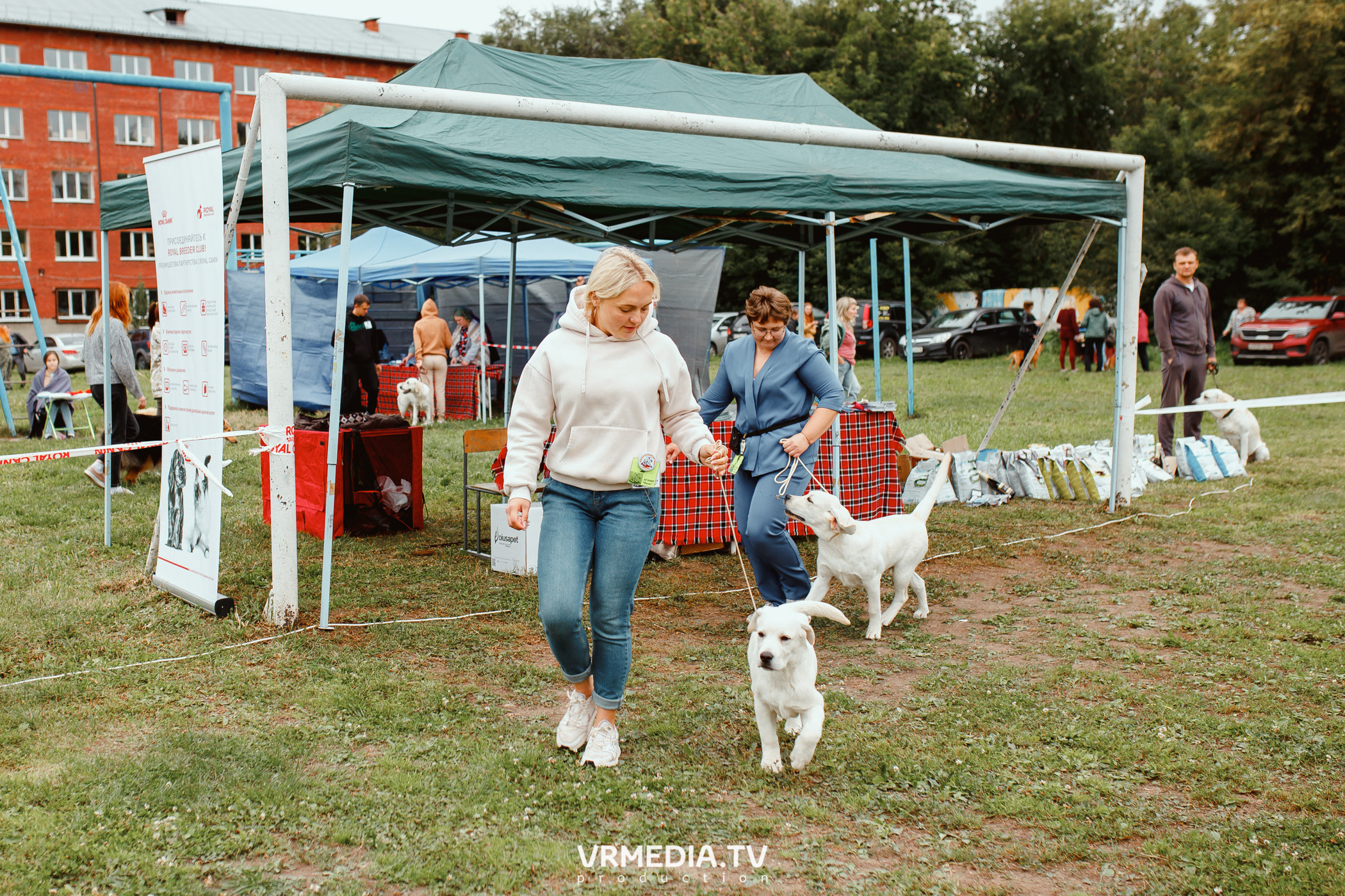 Монопородная выставка лабрадоров «КУЗБАСС 2021»