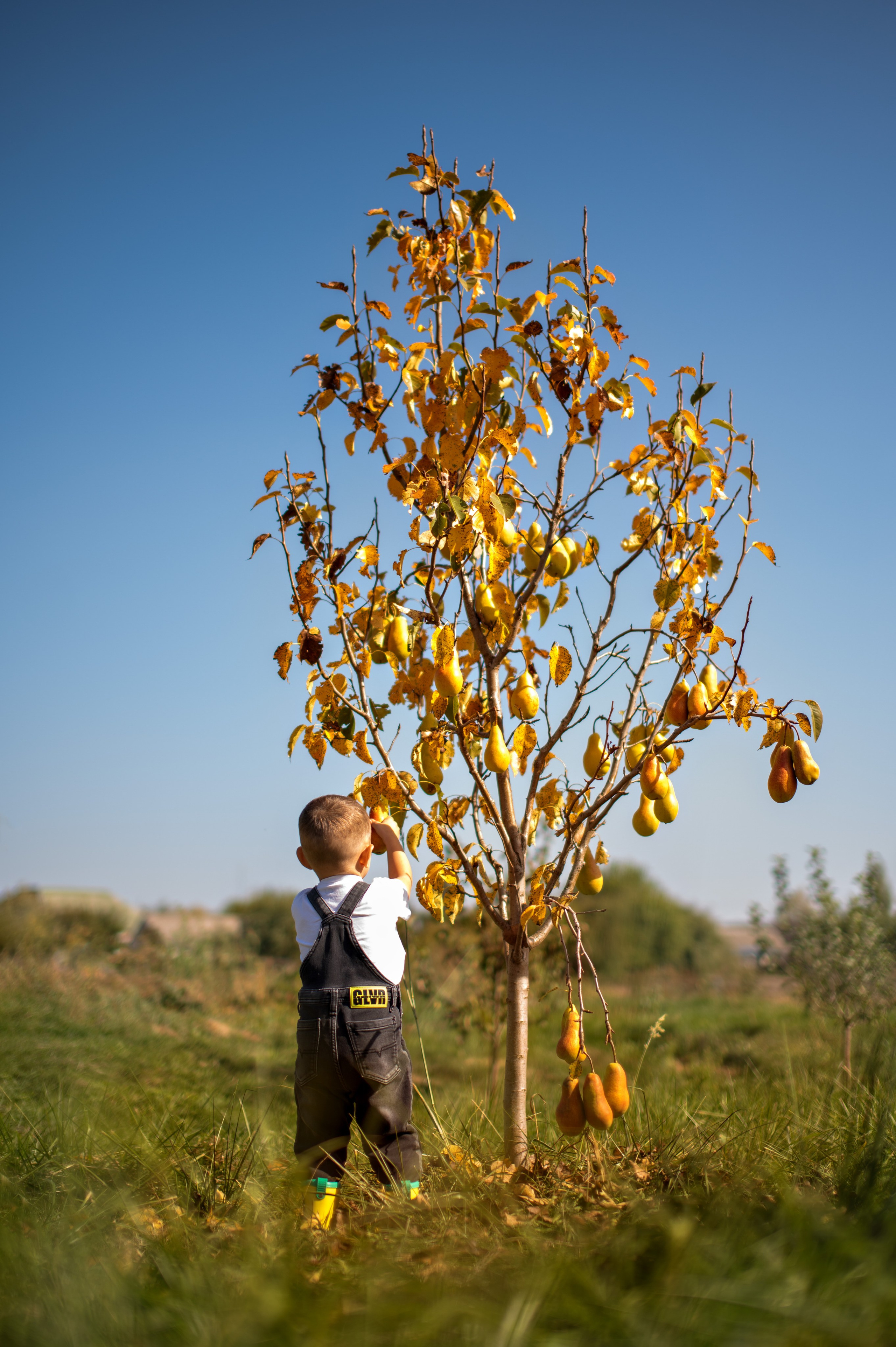 Дети. Фотограф Духина Наташа