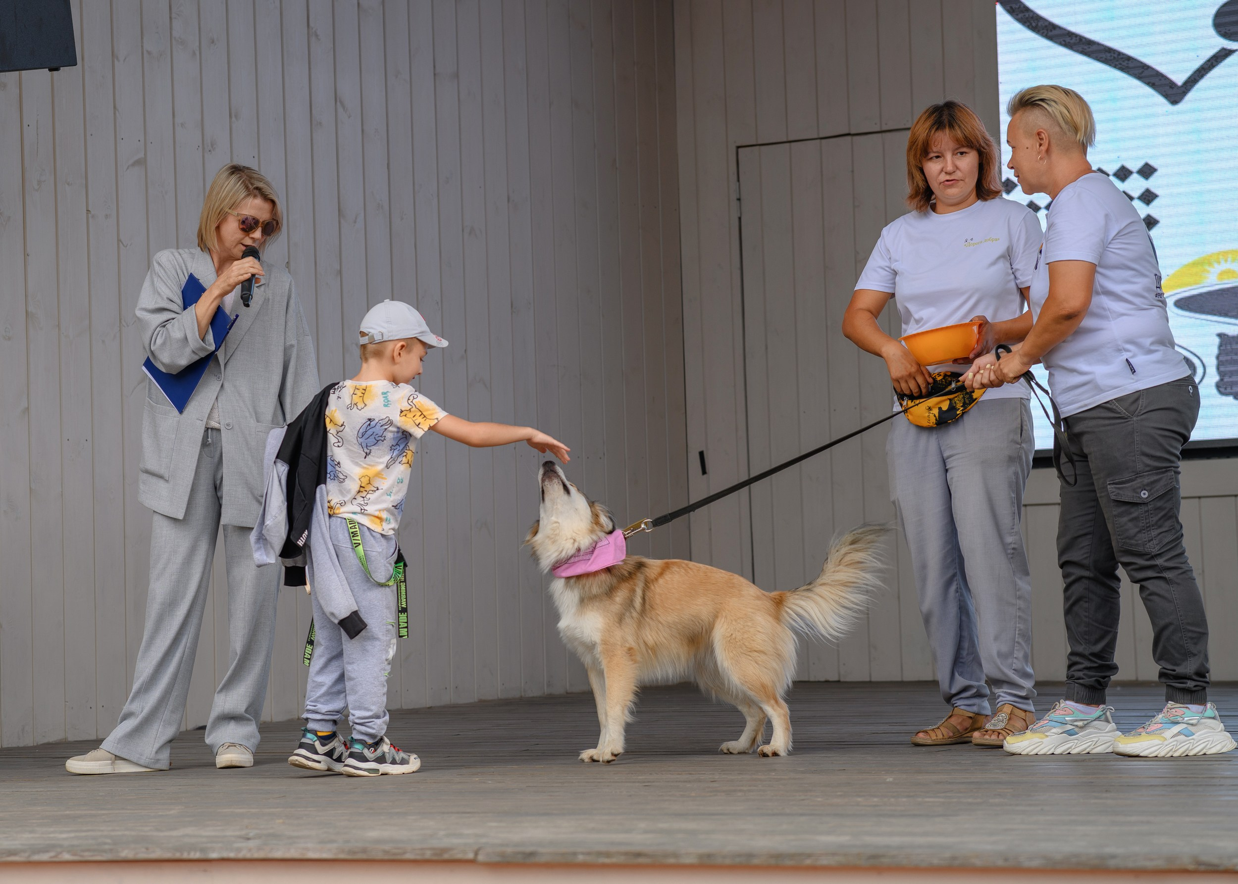СобачийФест_РынокНаГоре_10082024. Фотограф Александр Данилов