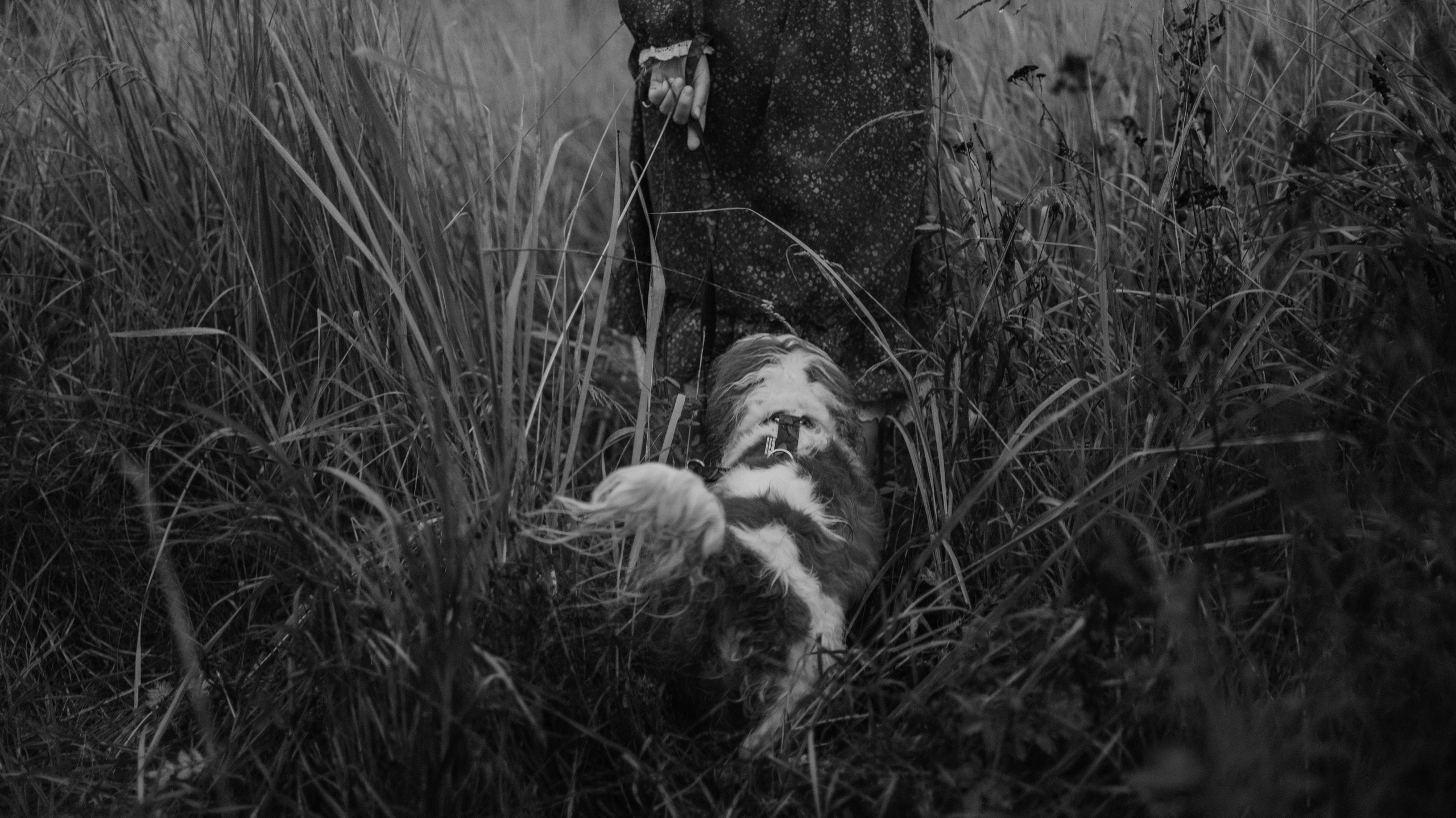 Маша и Дарси. Фотограф-анималист Богданова Полина