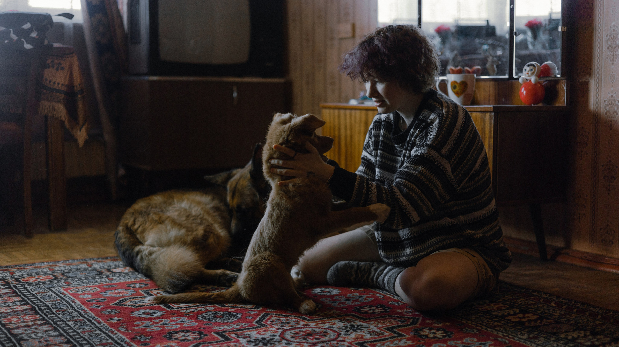 Лера, Реджи и Ральф. Фотограф-анималист Богданова Полина